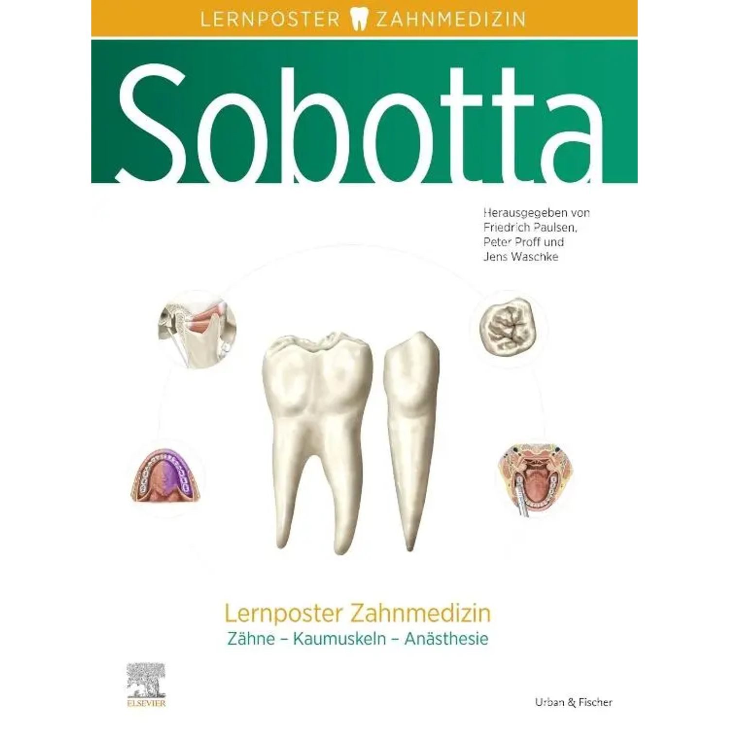 Poster Sobotta Lernposter Zahnmedizin