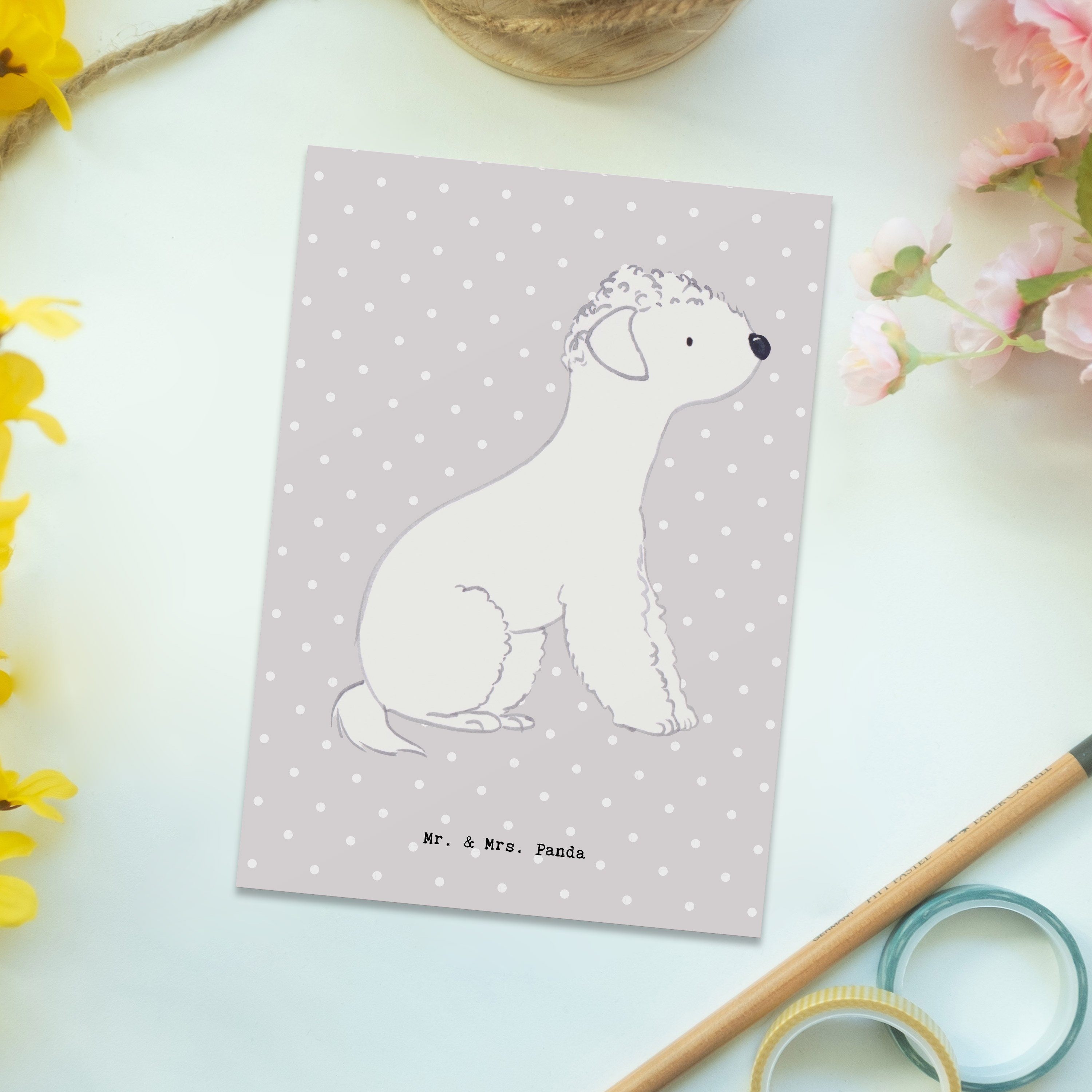 Lebensretter Panda - Geschenk, Grußkarte Grau Postkarte Mrs. Mr. Bedlington & - Pastell Terrier
