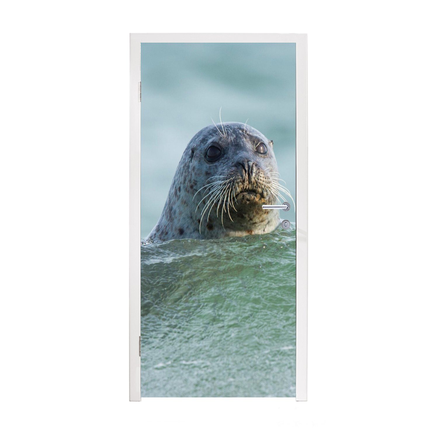 MuchoWow Türtapete Nordsee - Seehund - Wasser, Matt, bedruckt, (1 St), Fototapete für Tür, Türaufkleber, 75x205 cm