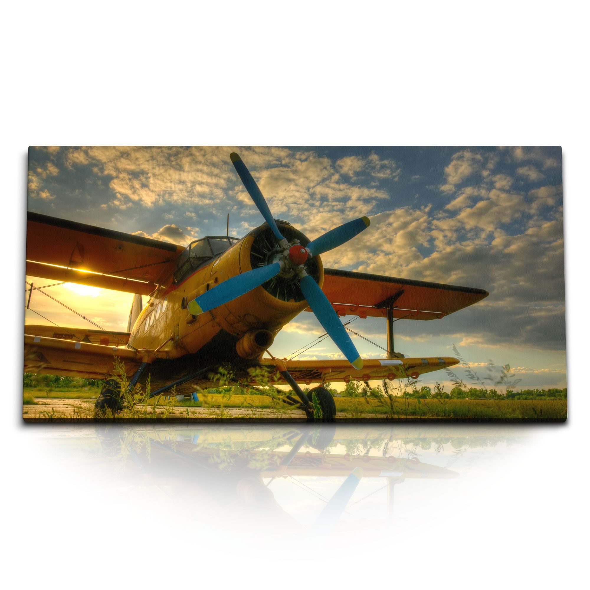 Leinwandbild Kunstdruck Bilder 120x60cm Propellerflugzeug Flugzeug Sportflugzeug So