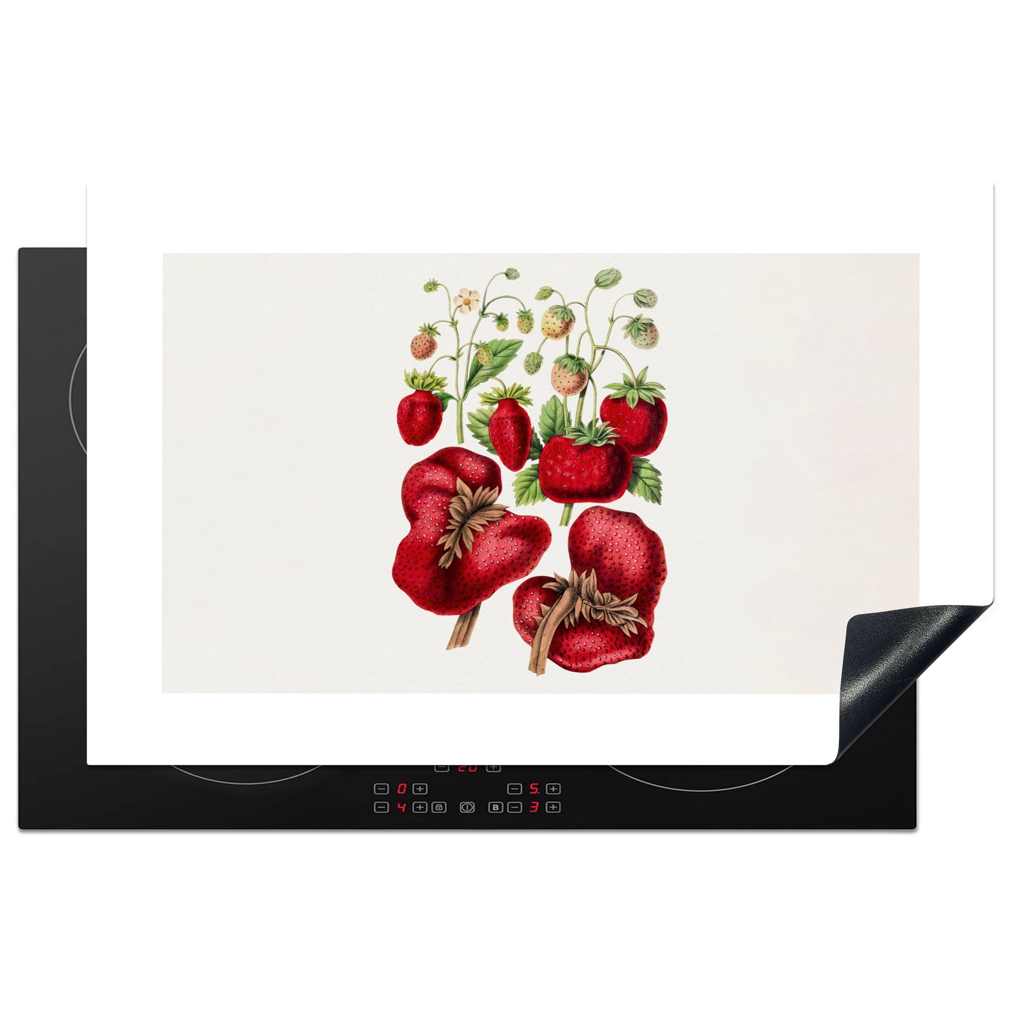 MuchoWow Herdblende-/Abdeckplatte Erdbeeren - Obst - Pflanze, Vinyl, (1 tlg), 81x52 cm, Induktionskochfeld Schutz für die küche, Ceranfeldabdeckung