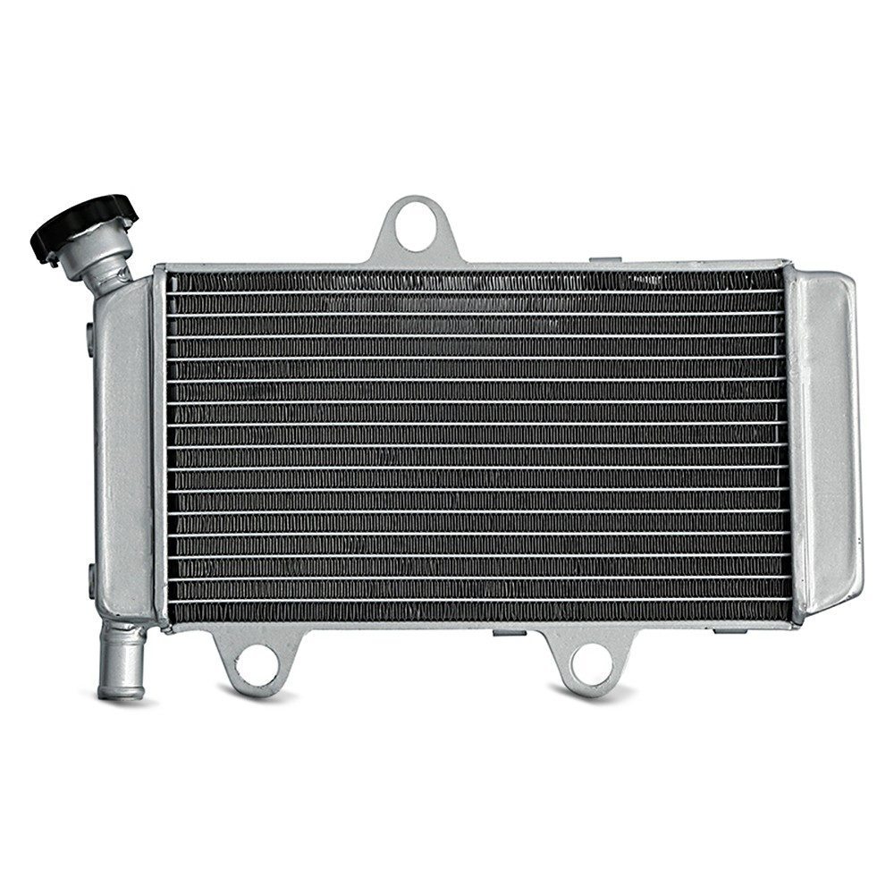 Zaddox Motor-Schutzhülle Ölkühler für Yamaha XT 660 R X 04-14 Radiator Kühler