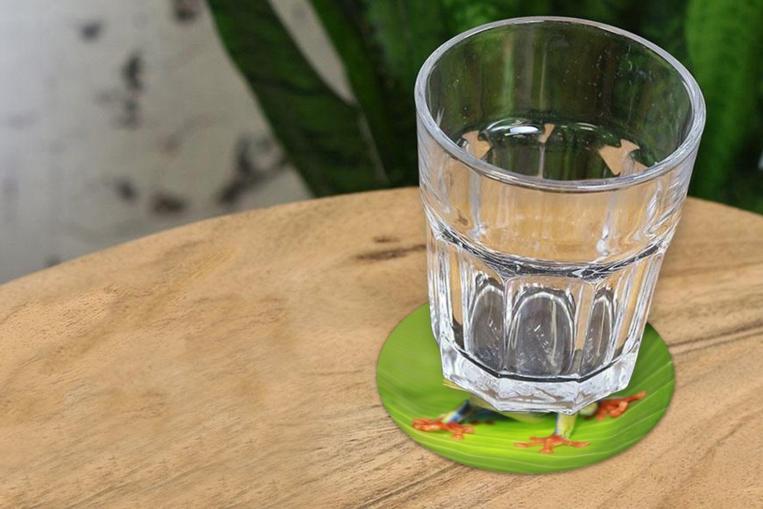 Glasuntersetzer Tassenuntersetzer, 6-tlg., für Costa Rotaugen-Ara-Frosch einem Becher Tasse, in Gläser, MuchoWow auf Rica, Zubehör Korkuntersetzer, Getränkeuntersetzer, Blatt