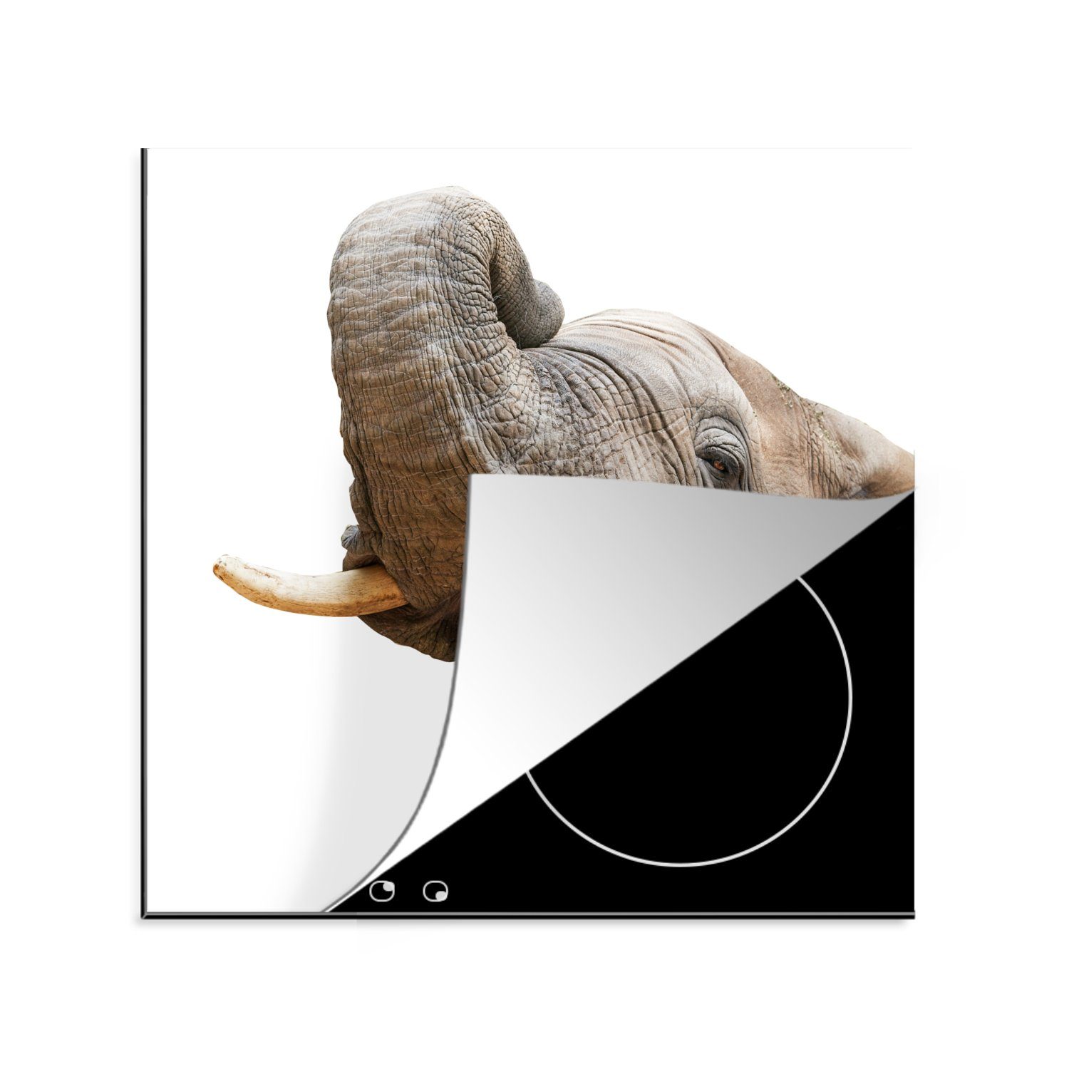 MuchoWow Herdblende-/Abdeckplatte Elefant - Zunge - Weiß, Vinyl, (1 tlg), 78x78 cm, Ceranfeldabdeckung, Arbeitsplatte für küche