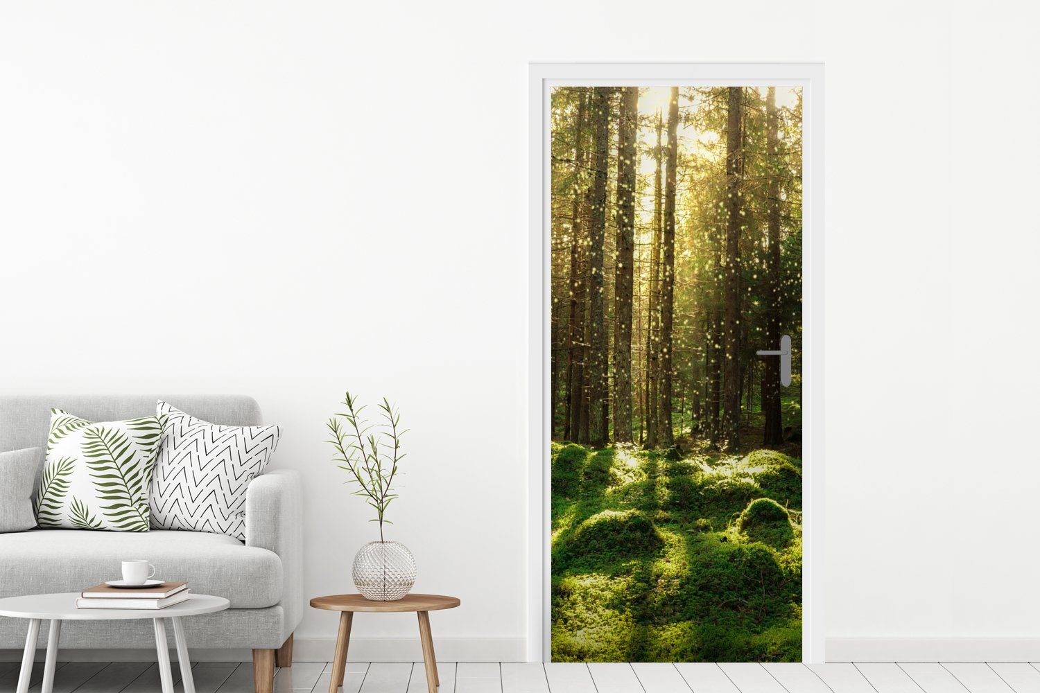Tür, - St), Pflanzen Wald Matt, Moos 75x205 für Türaufkleber, MuchoWow - Türtapete - Fototapete bedruckt, Bäume - - Sonne Natur, (1 cm
