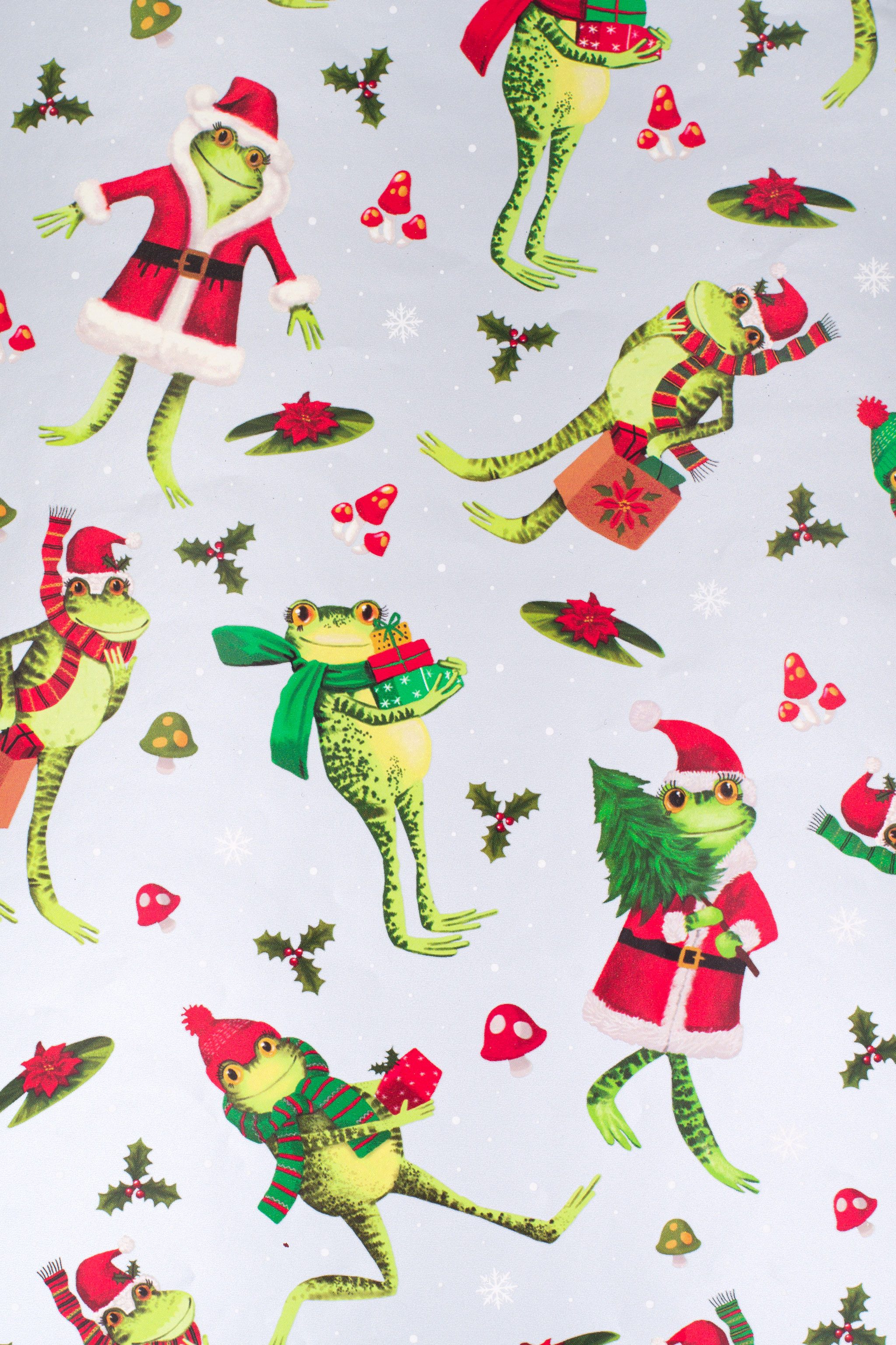 Star Geschenkpapier, Geschenkpapier Frosch mit Geschenken 70cm x 2m Rolle Silber / Grün