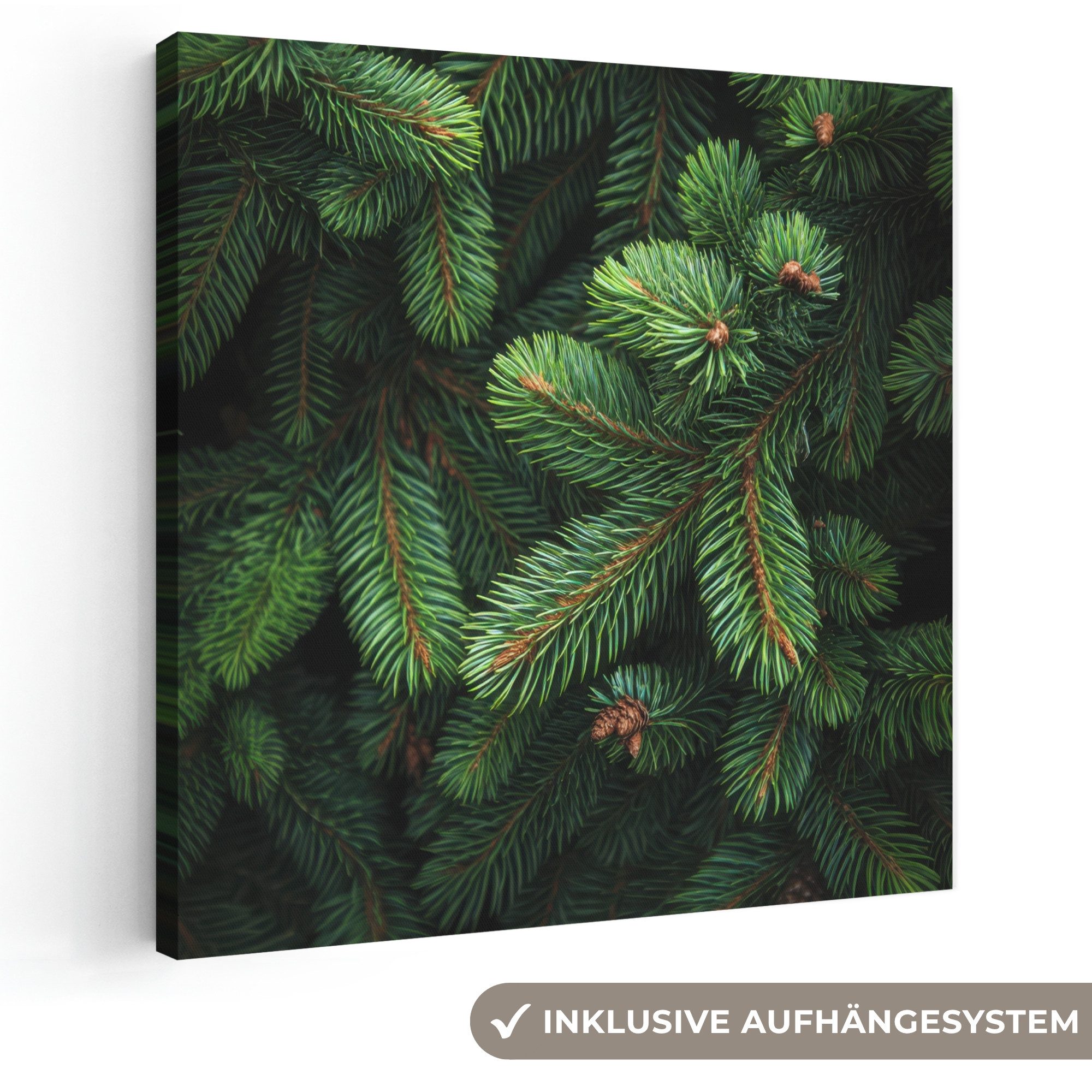 OneMillionCanvasses® Leinwandbild Fichtenzweige - Knospen - Nadeln - Grün, Fotodruck (1 St), Wandbild, Deko Schlafzimmer Wohnzimmer Flur 20x20 cm