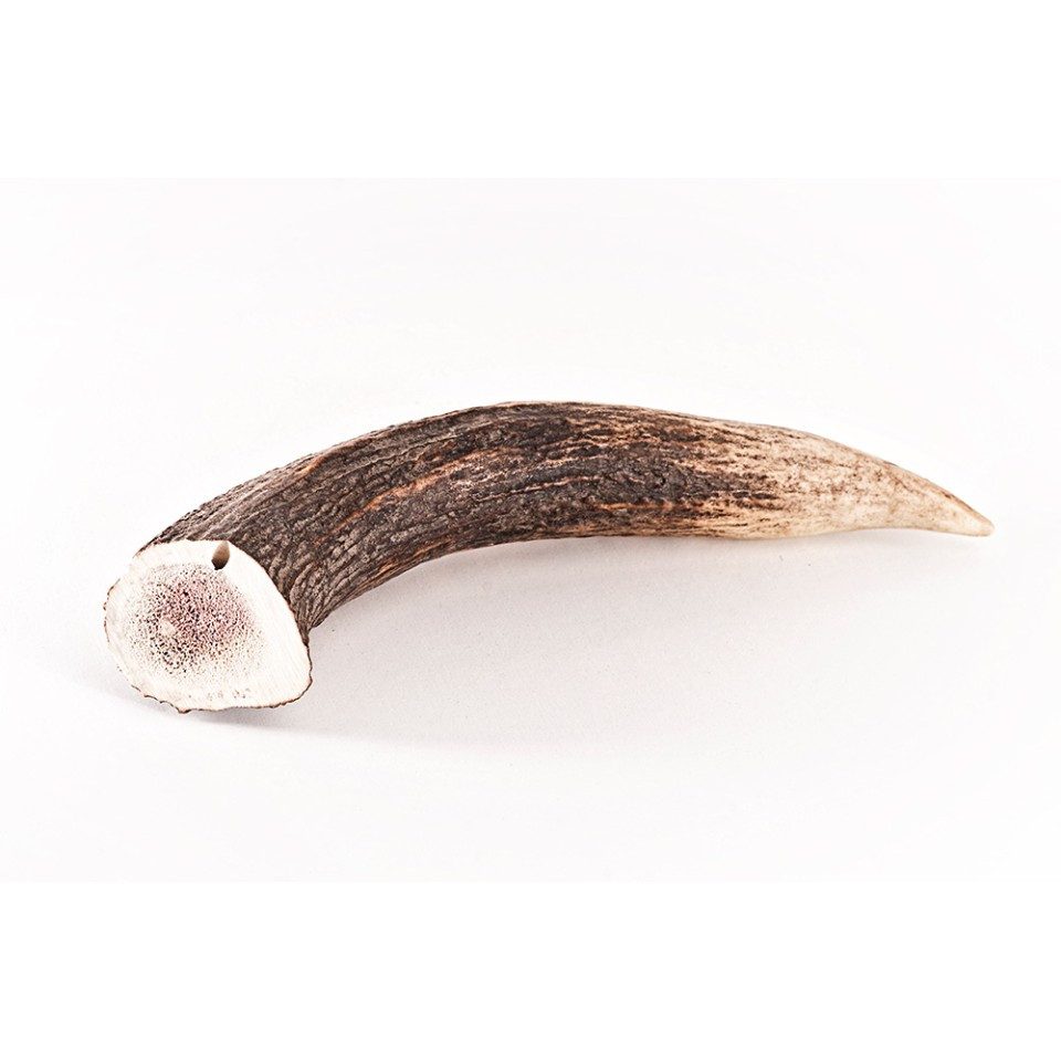 Bellfor Bellfor Hundesnack - Hirsch-Geweihe XXL - 160g, für: Hunde
