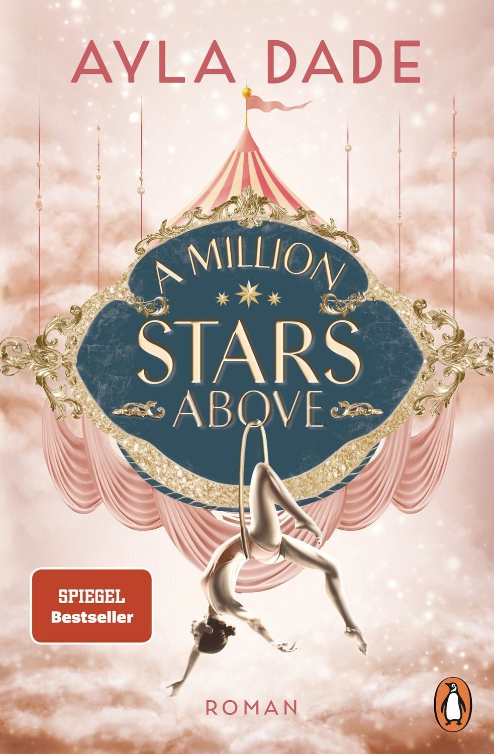 Belletristik A Million Stars Above Roman - Die New Adult Starautorin mit ihrer spic Ayla Dade
