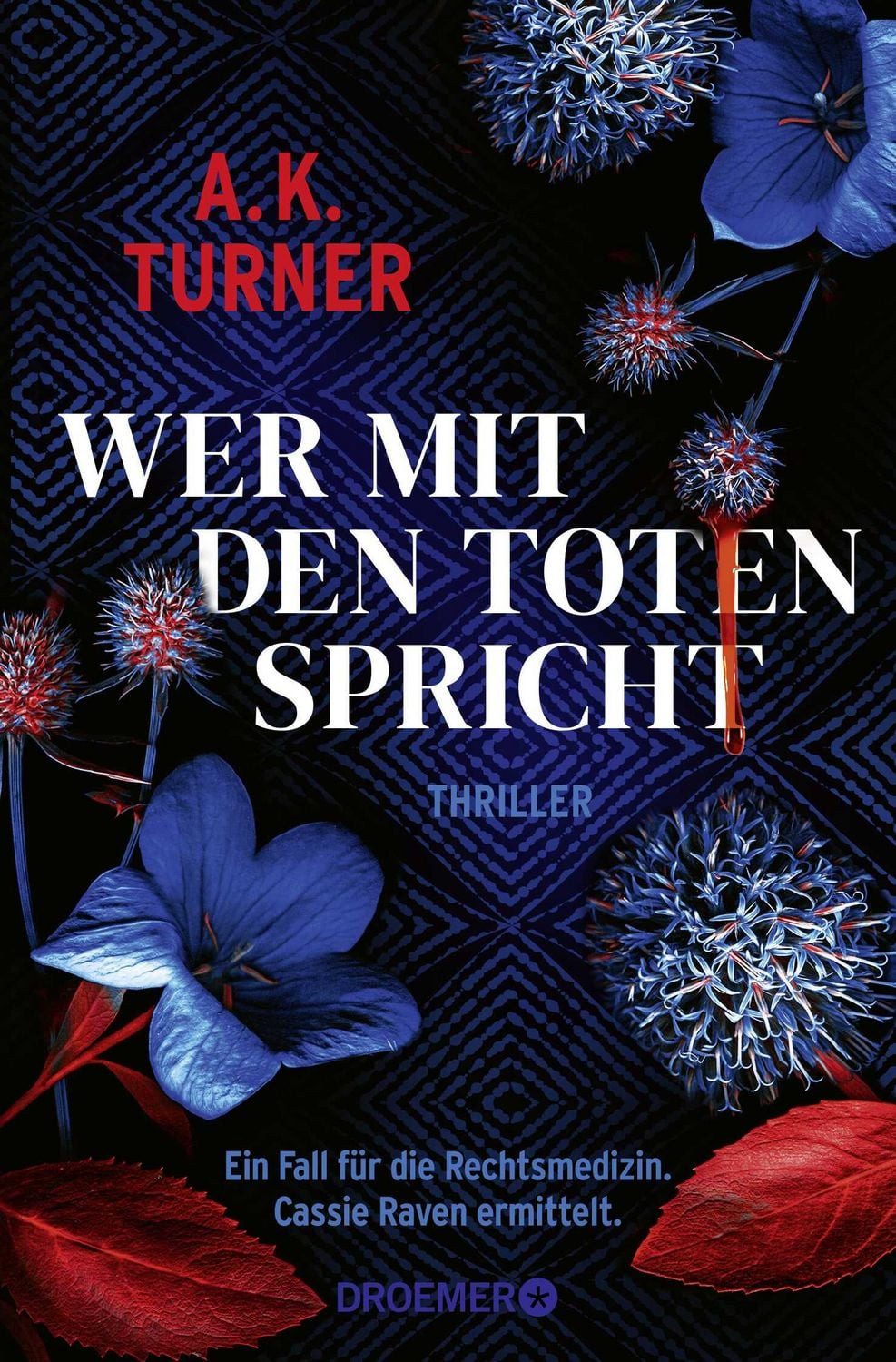 Wer mit den Toten spricht / A. K. Turner