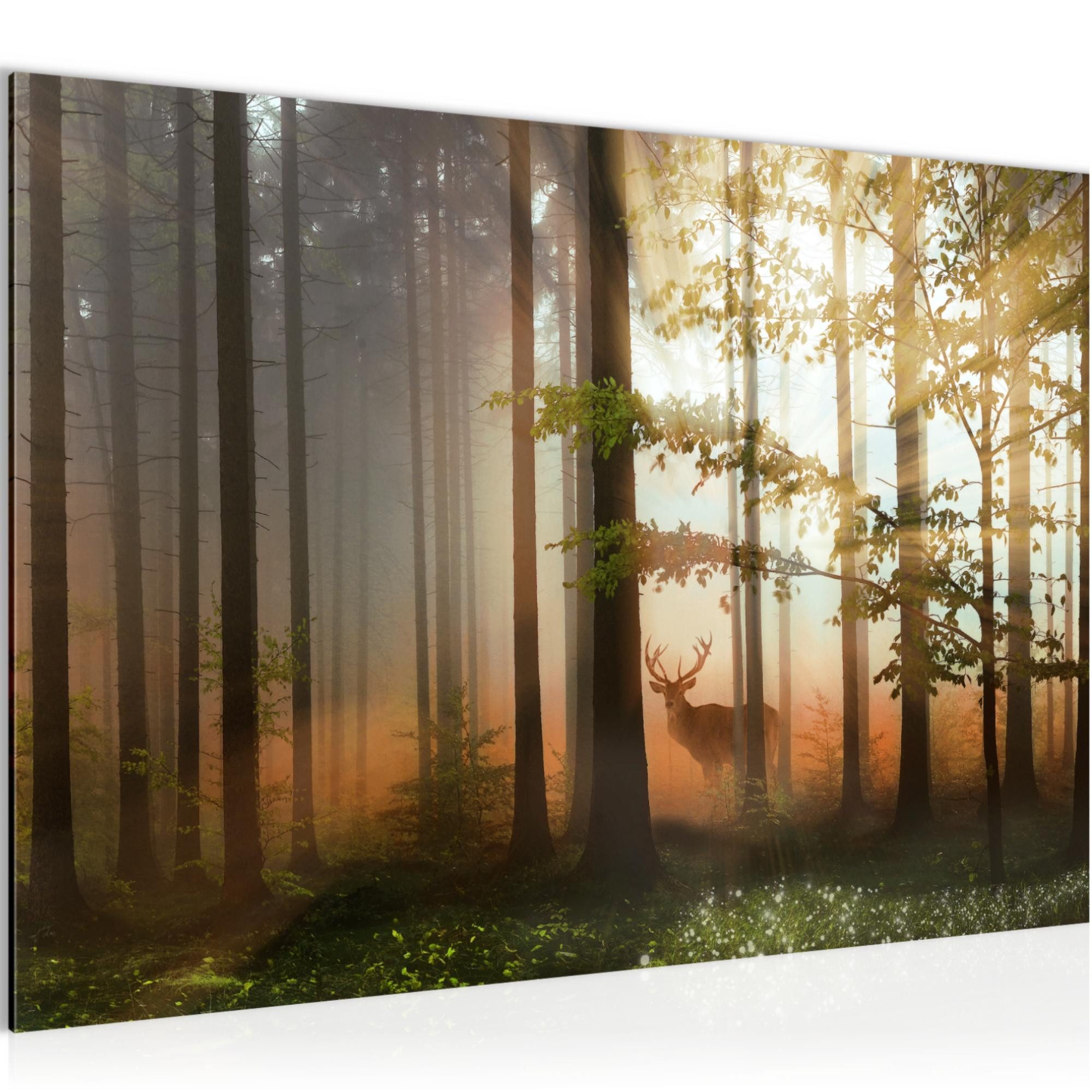 Runa Art Wandbild Bild Wald Hirsch Modern Made In Germany Natur Grün Gelb Flur 0127, 60L x 40B cm