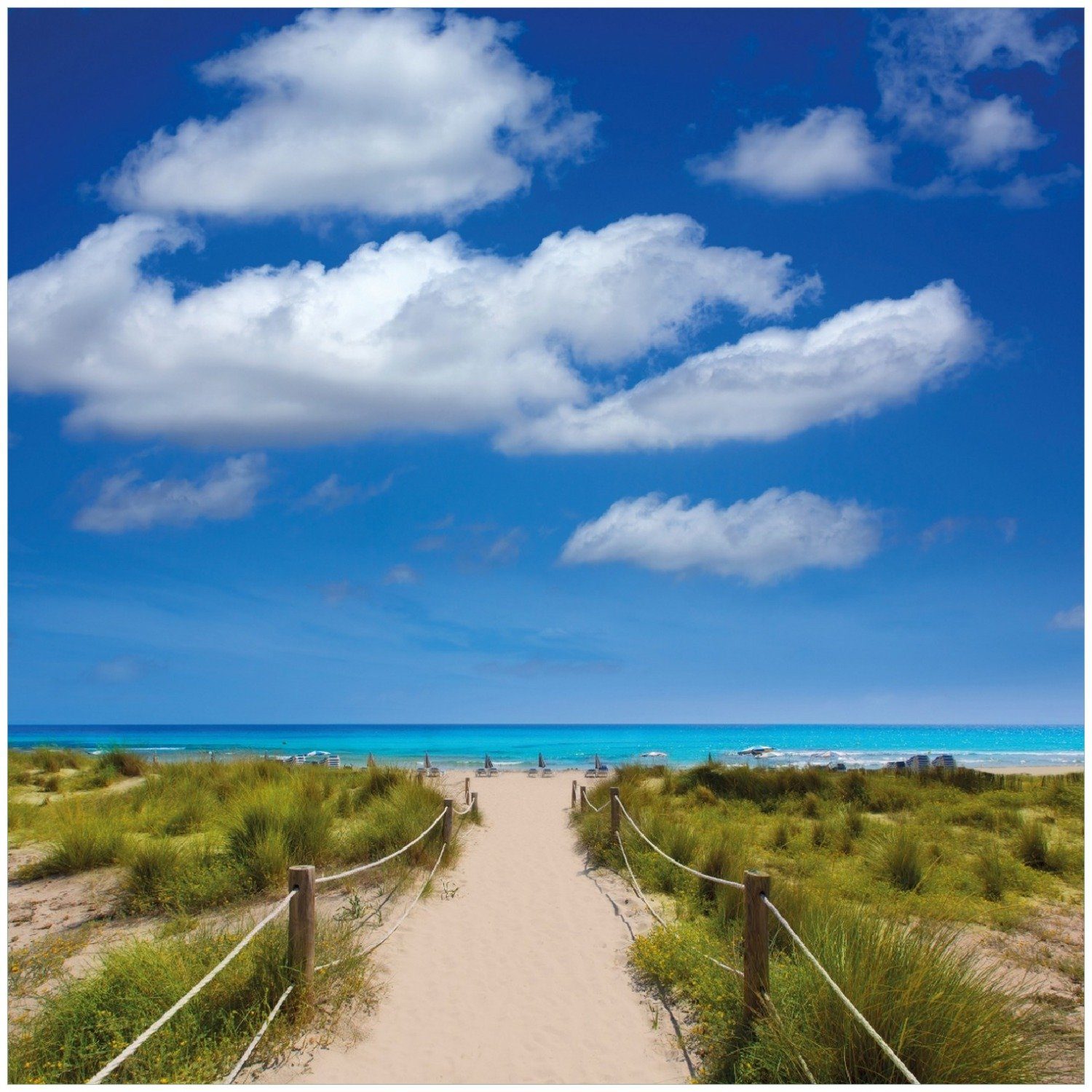 Wallario Memoboard Sandweg zum mit Meer blauen Himmel blauem