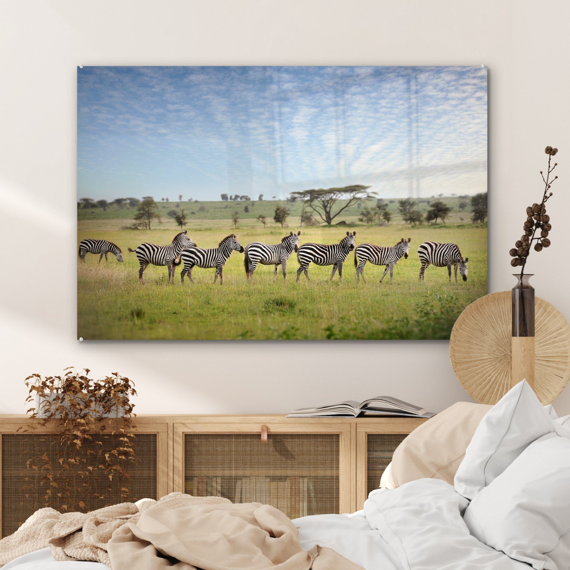 Eine Zebras spaziert des, MuchoWow Savanne Reihe Schlafzimmer Acrylglasbild durch & die von (1 St), Acrylglasbilder Wohnzimmer