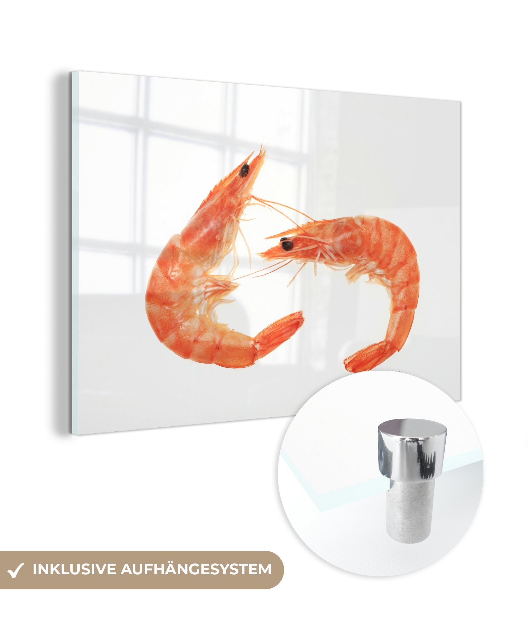 MuchoWow Acrylglasbild Eine Nahaufnahme von zwei Krabben, (1 St), Acrylglasbilder Wohnzimmer & Schlafzimmer