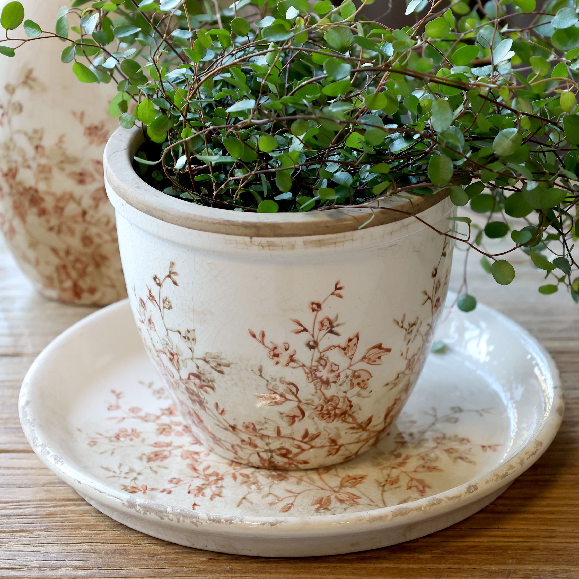 Chic Antique Übertopf Chic Antique * Chaville Übertopf H13/D15 cm creme Ker günstig online kaufen