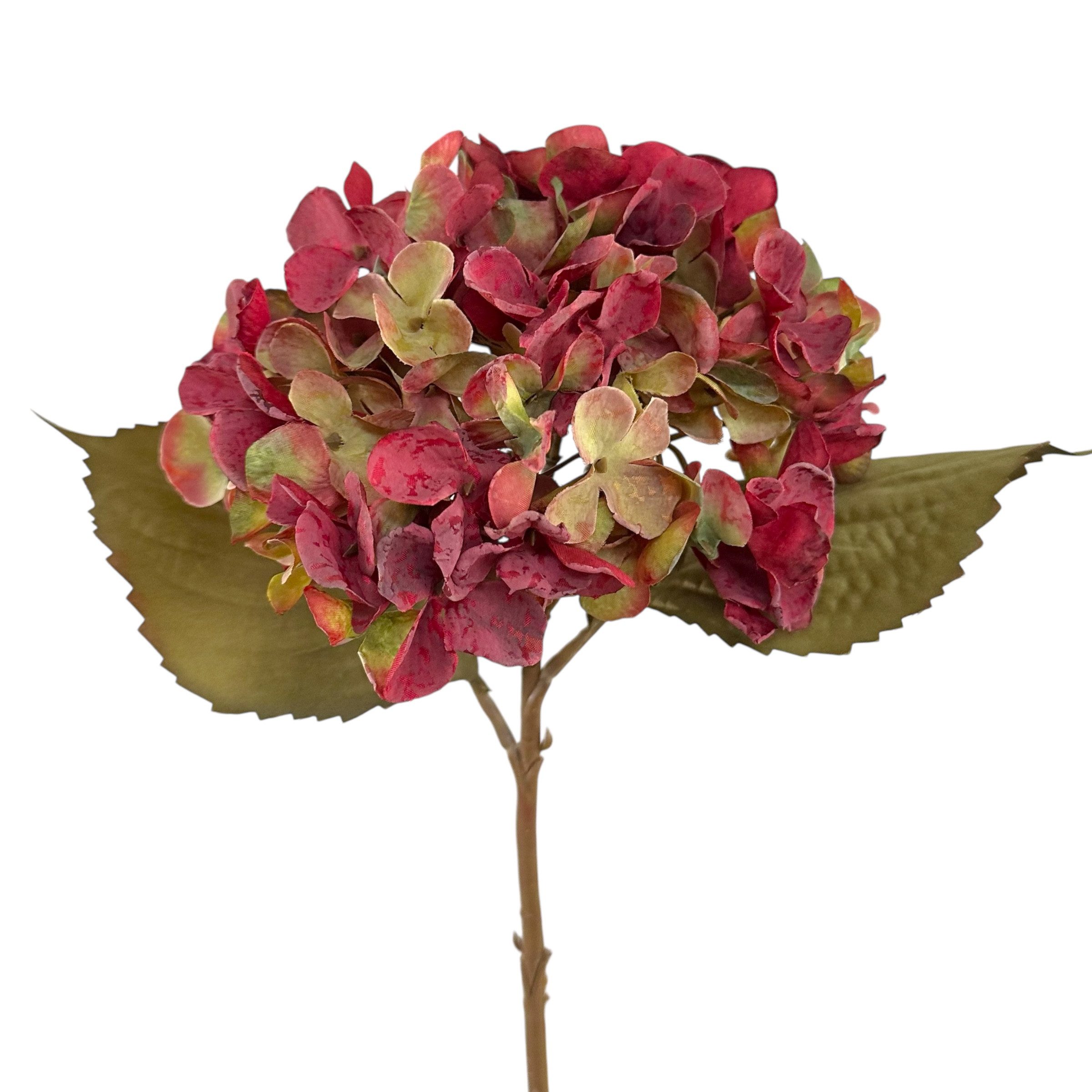 Kunstblume Kunstblume HORTENSIE 46 cm. In Trockenblumenoptik. Rot-Grün BUNT günstig online kaufen