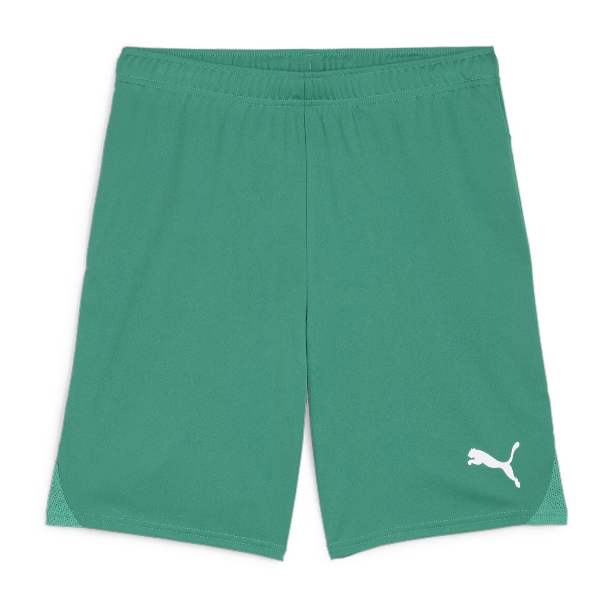 PUMA Trainingsshorts Puma Herren Short teamGOAL Shorts 705752