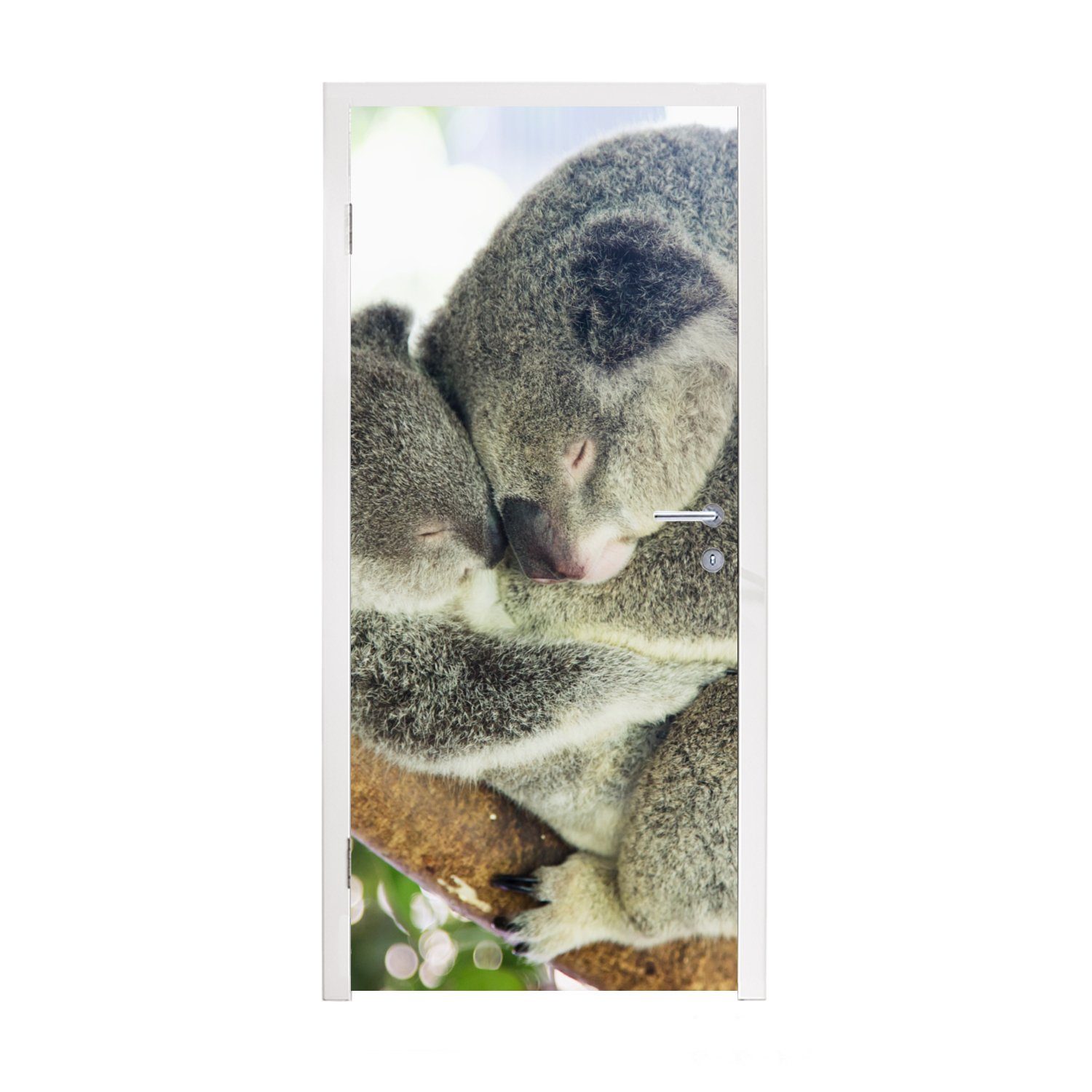 MuchoWow Türtapete Koalas - Knuddeln - Tiere - Jungen - Mädchen, Matt, bedruckt, (1 St), Fototapete für Tür, Türaufkleber, 75x205 cm