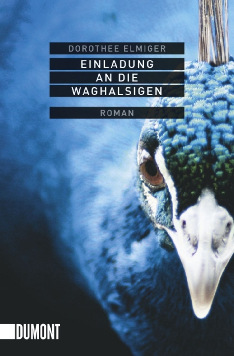 Einladung an die Waghalsigen / Dorothee Elmiger