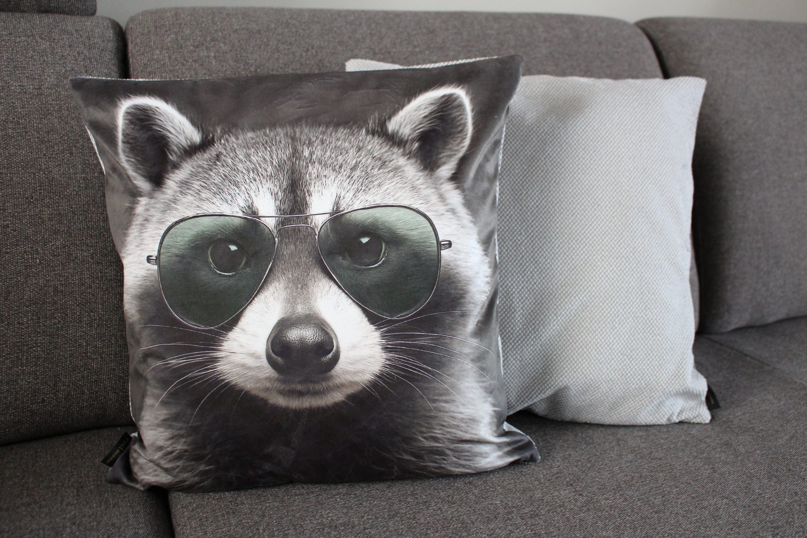 Yve! Decoration Kissenhülle Zierkissenhülle Waschbär Bill verschiedene Motive ca. 45 x 45 cm, (1 Stück), niedlich lustig dekorativer Kissenbezug