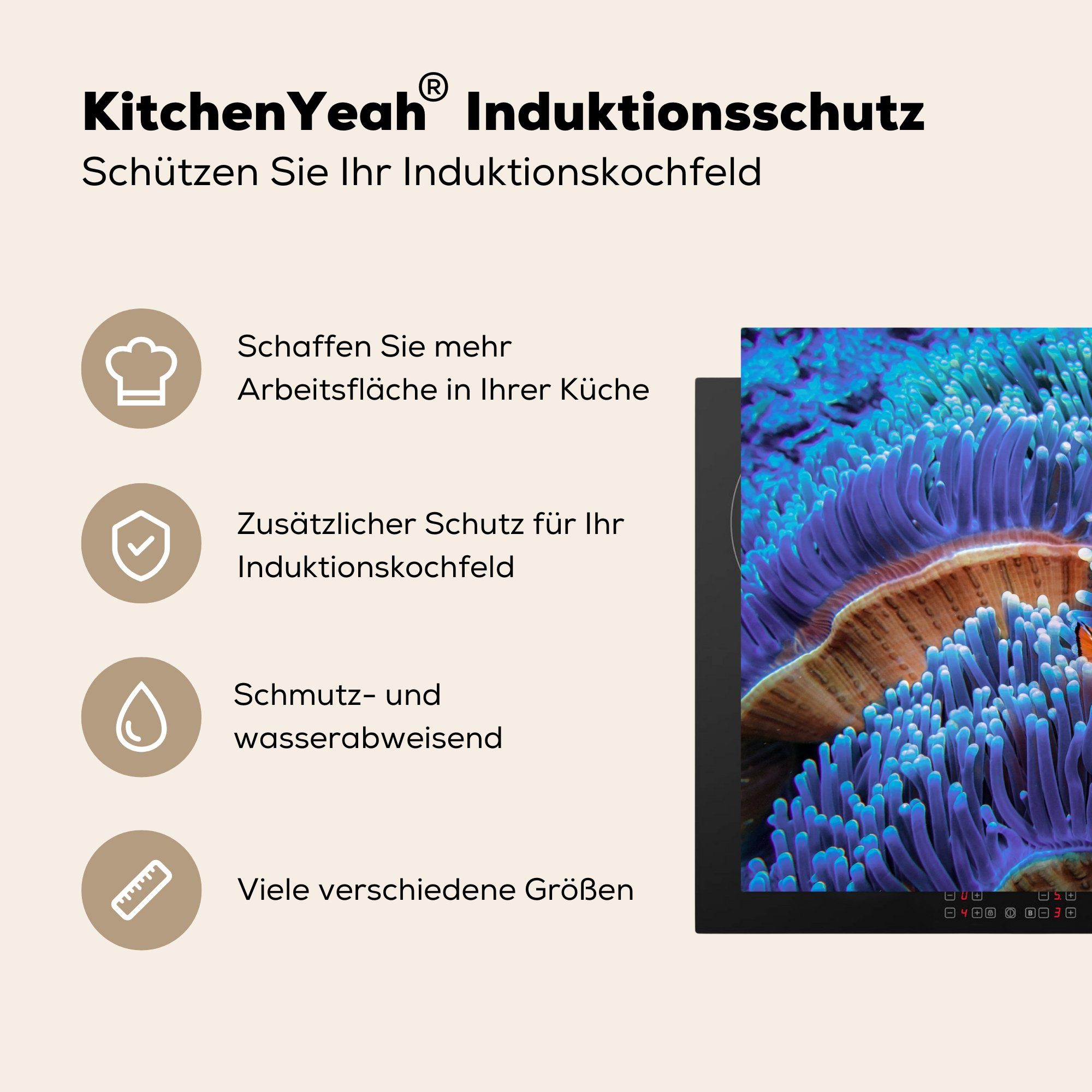 durch küche, Schutz tlg), die 81x52 Dreibandige Induktionskochfeld blaue (1 Anemonenfische cm, Herdblende-/Abdeckplatte Vinyl, schwimmen Korallen, MuchoWow Ceranfeldabdeckung für