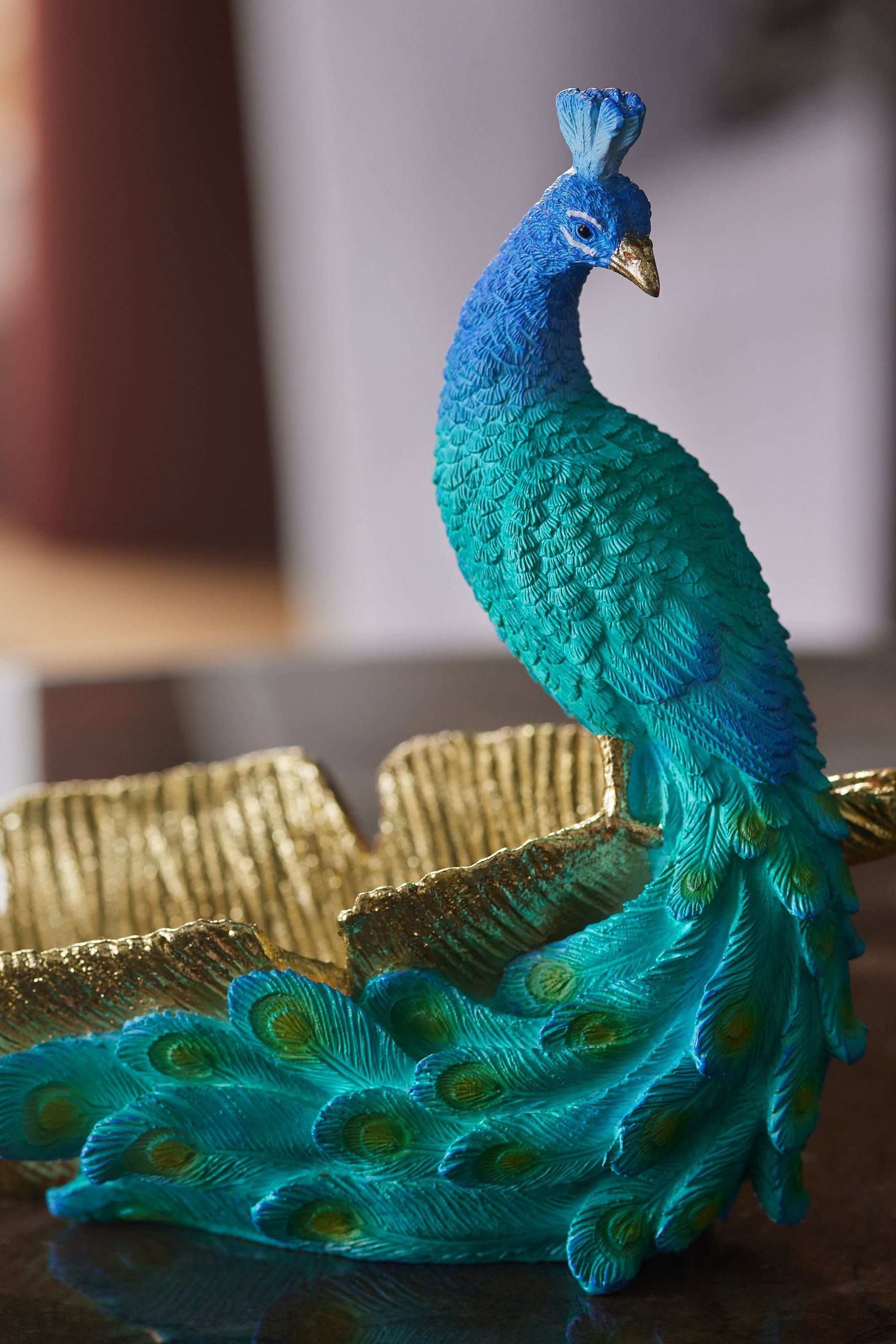 Next Dekoschale Schale, Pfau günstig online kaufen