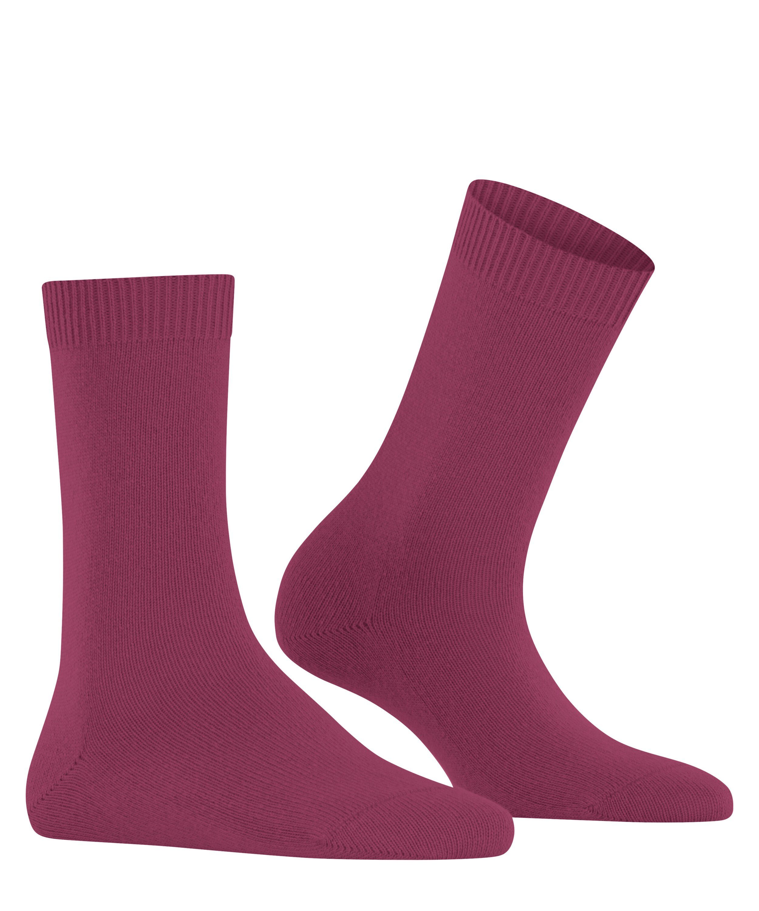 plum (1-Paar) FALKE Wool Cosy (8236) red Socken
