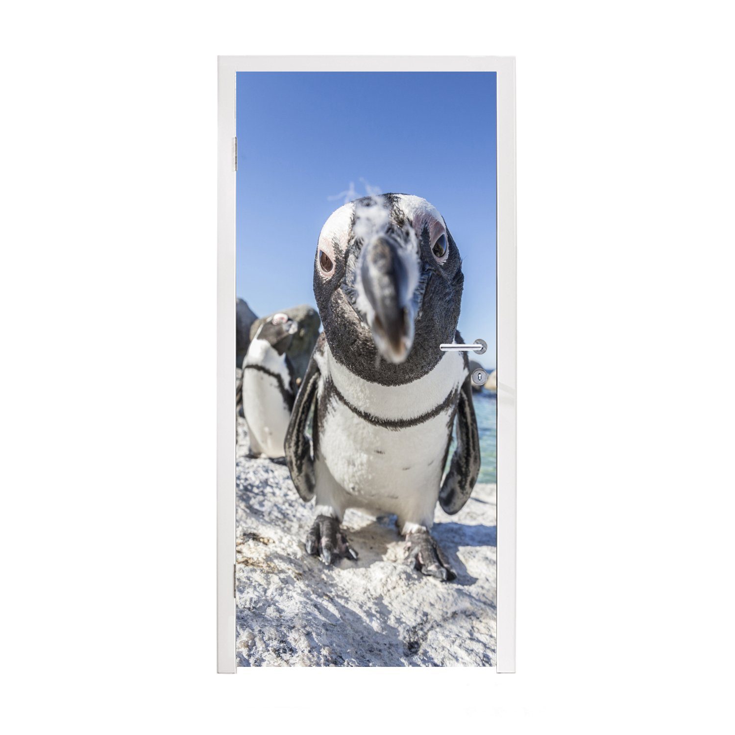 MuchoWow Türtapete Nahaufnahme eines afrikanischen Pinguins am Boulders Beach, Matt, bedruckt, (1 St), Fototapete für Tür, Türaufkleber, 75x205 cm