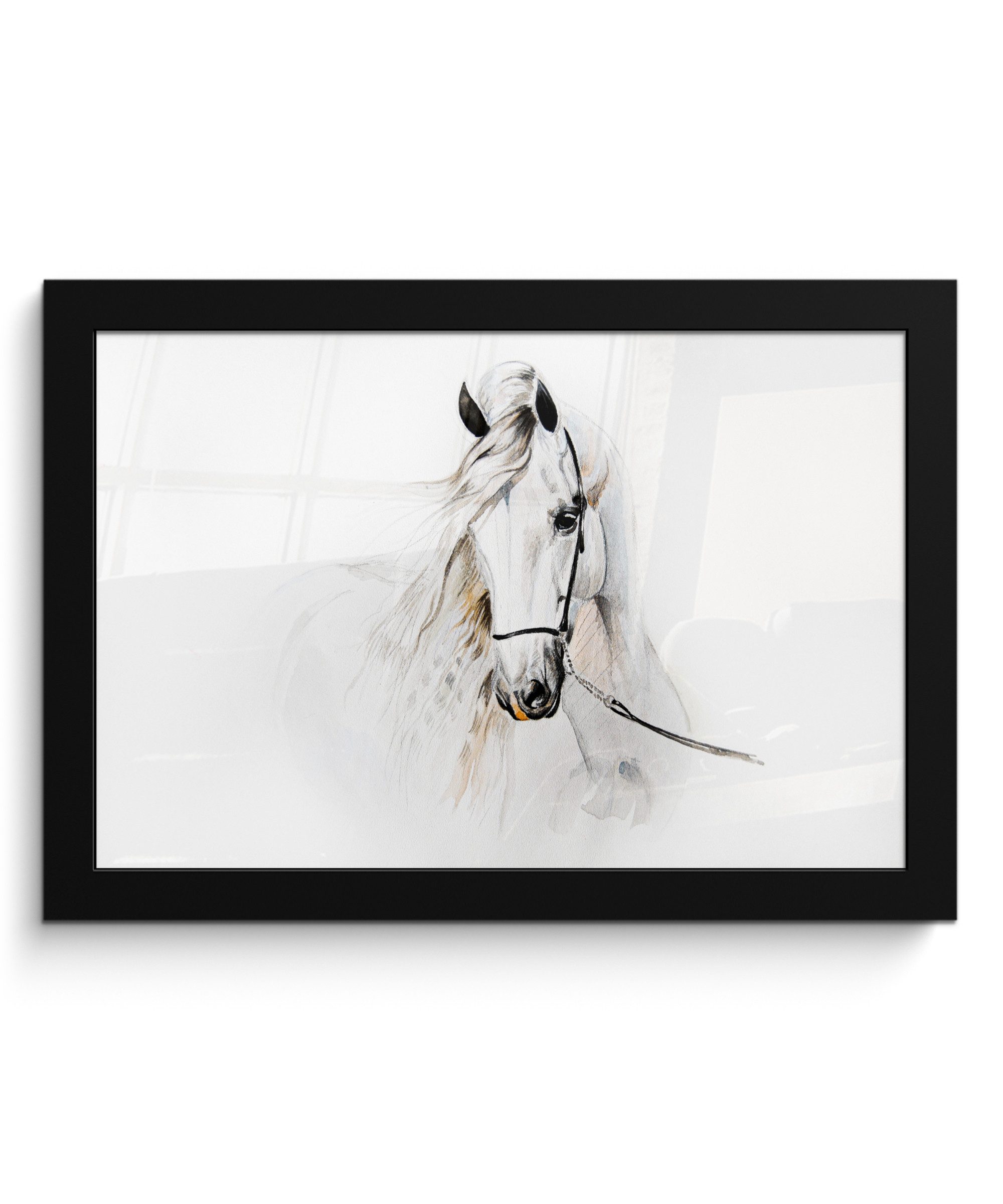 Poster Pferd - Aquarell - Tiere - Weiß