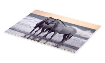 Posterlounge Poster Wiebke Haas, Weiße Pferde am Strand, Wohnzimmer Maritim Fotografie