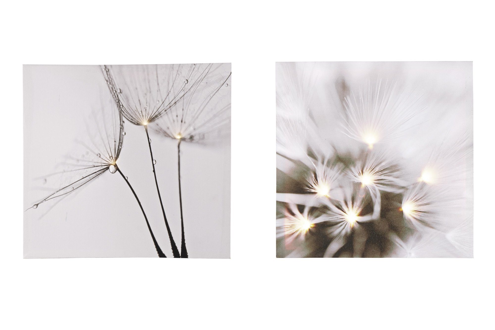 Led Bilder Online Kaufen Otto