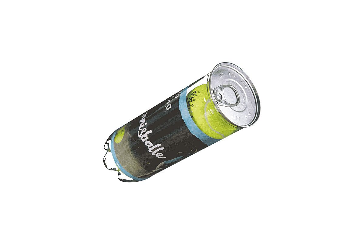 PiNAO Sports Tennisball Set 3 (3-St)