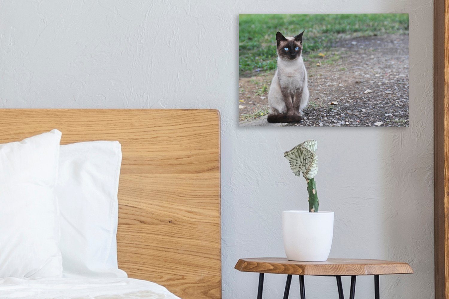 OneMillionCanvasses® Leinwandbild Siamesische Katze sitzt cm (1 Aufhängefertig, auf Leinwandbilder, einer St), Wandbild Kröte, Wanddeko, 30x20