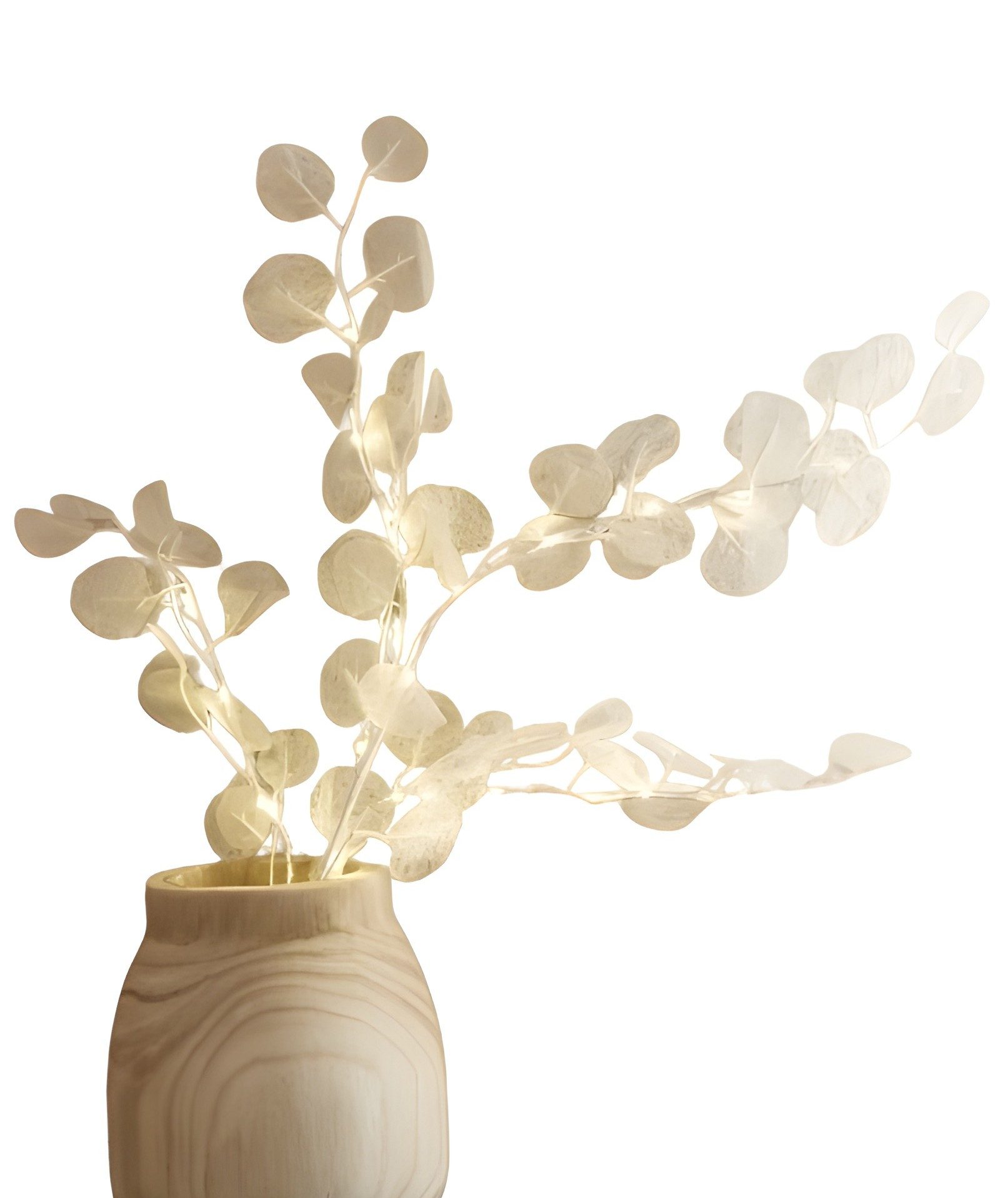 Dekoleidenschaft LED-Leuchtzweig Dekozweig "Soft" in creme, günstig online kaufen