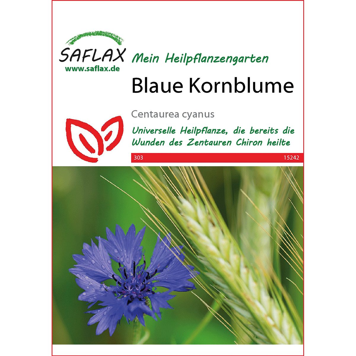 Blumensamen Samen »Blaue Kornblume«. günstig online kaufen