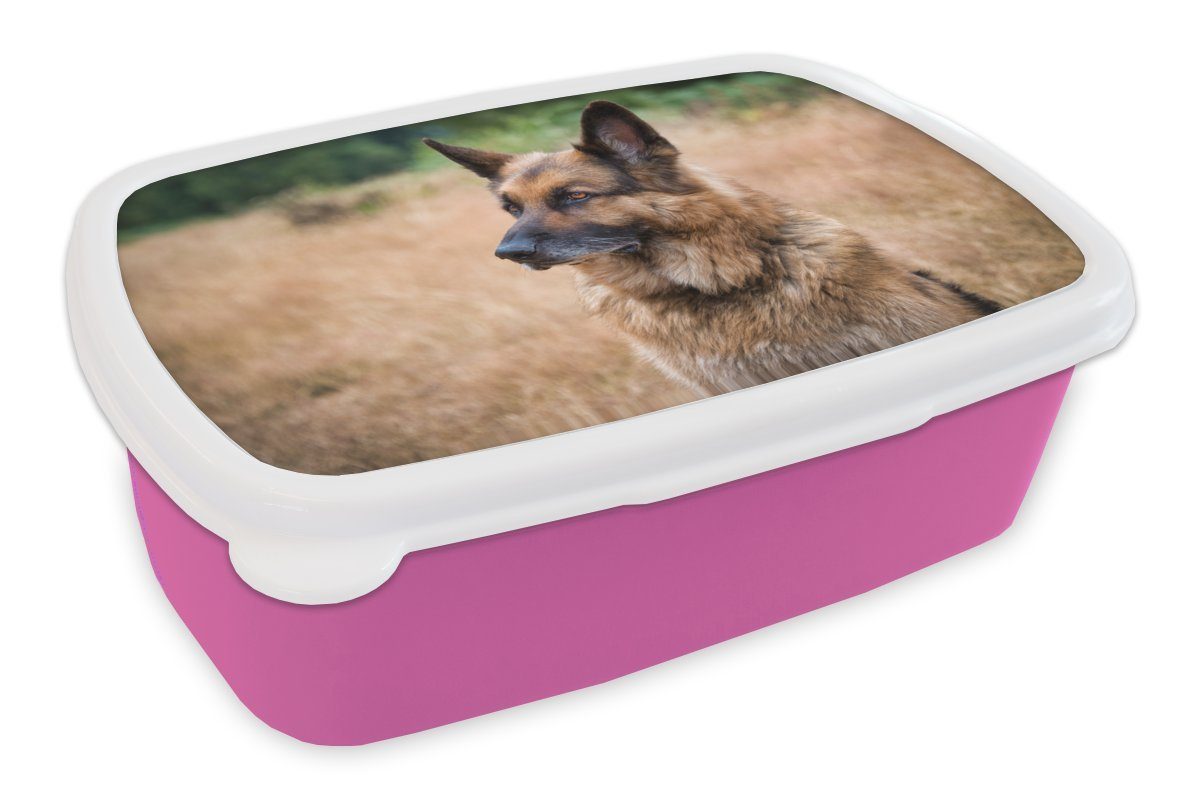 Ohren, Kunststoff, für (2-tlg), MuchoWow Kunststoff Mädchen, Ein Lunchbox Erwachsene, aufgestellten mit Brotdose Deutscher Brotbox Kinder, rosa Snackbox,