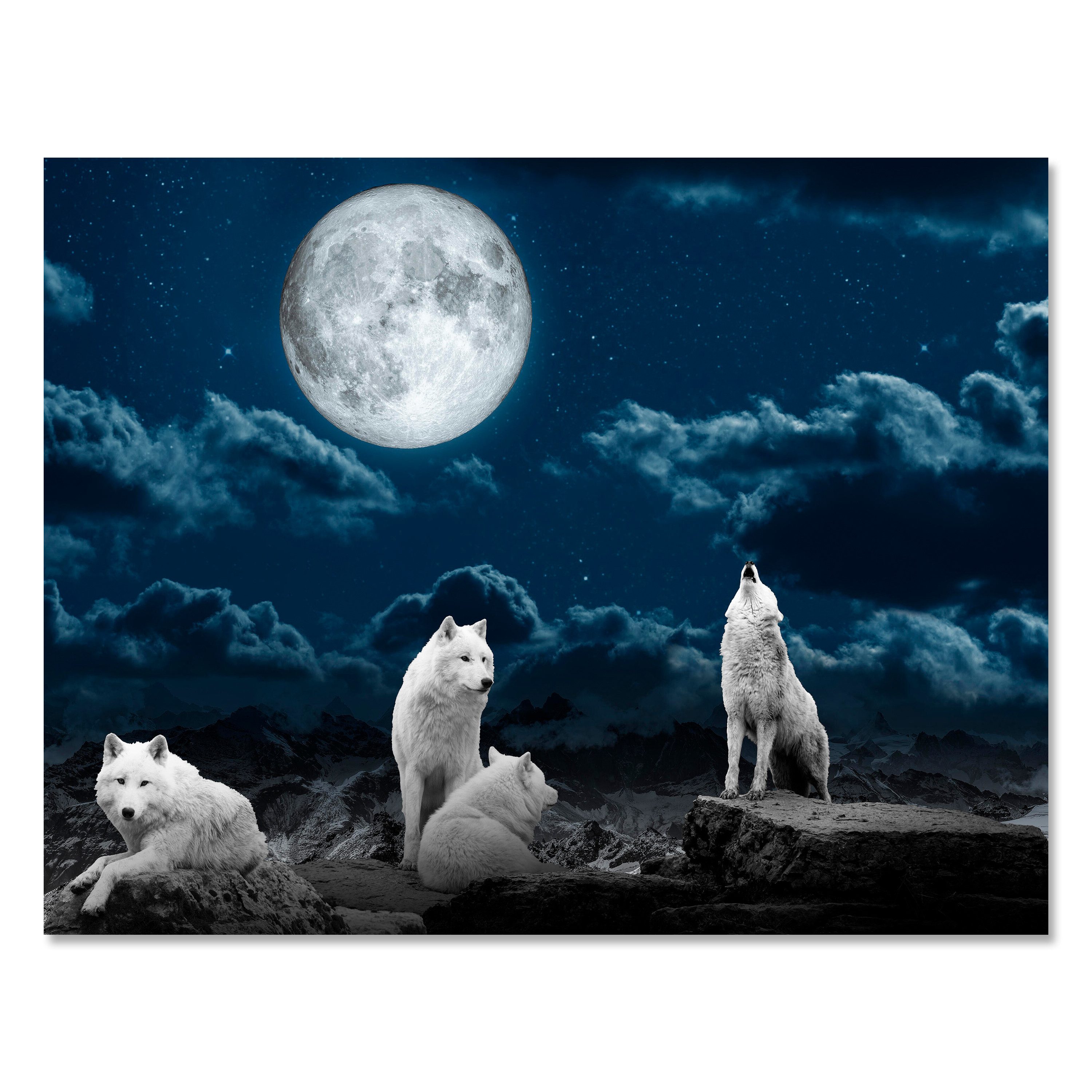 wandmotiv24 Leinwandbild Tiere, Querformat, Rudel von weißen Wölfen, Tiere (1 St), Wandbild, Wanddeko, Leinwandbilder in versch. Größen