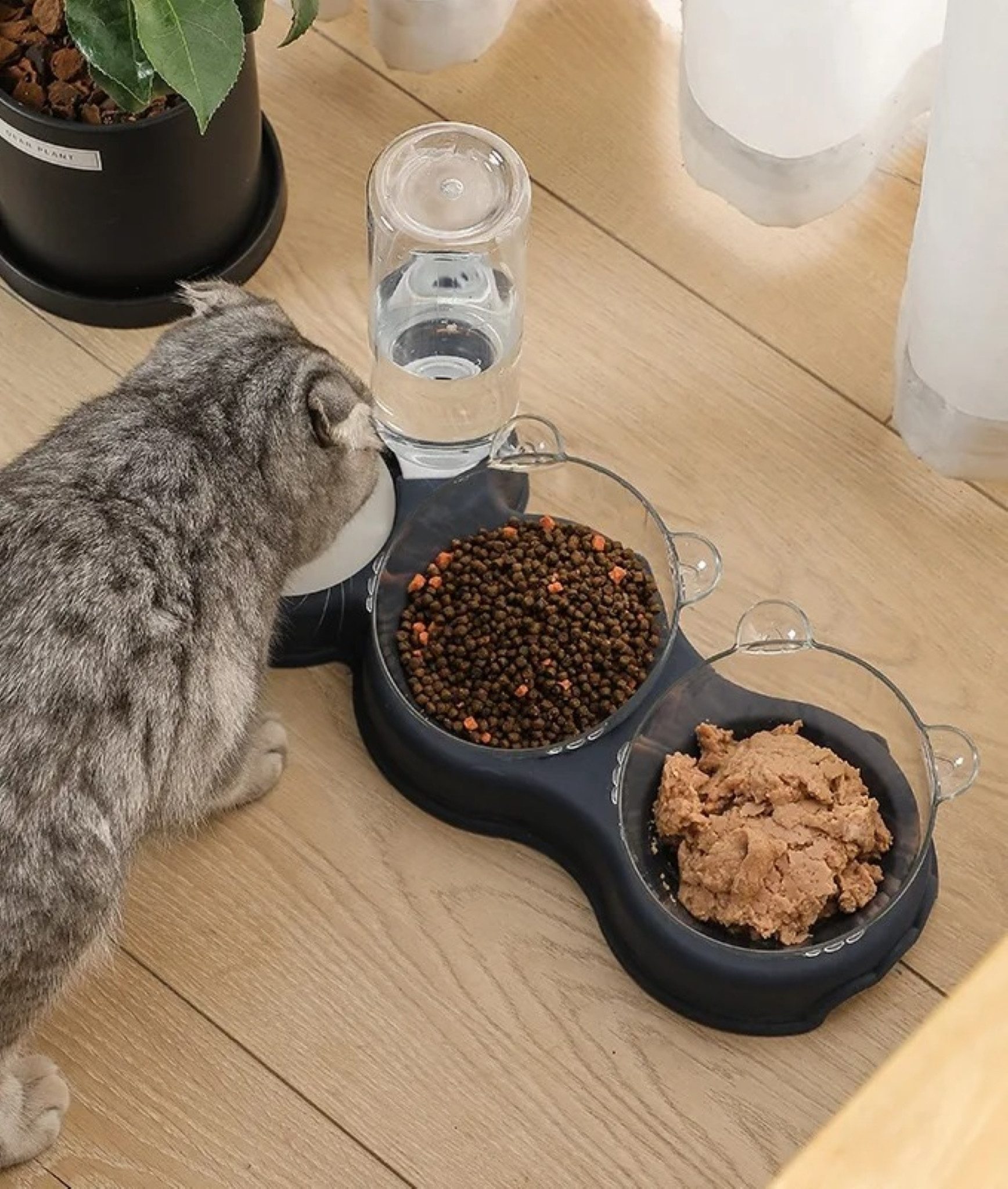 NUXIE Dog Napf Dreifacher Katzennapf mit Wasserspender 3-in-1 Futterstation, 3-in-1-Futternapf mit Wasserspender für frisches Wasser jederzeit
