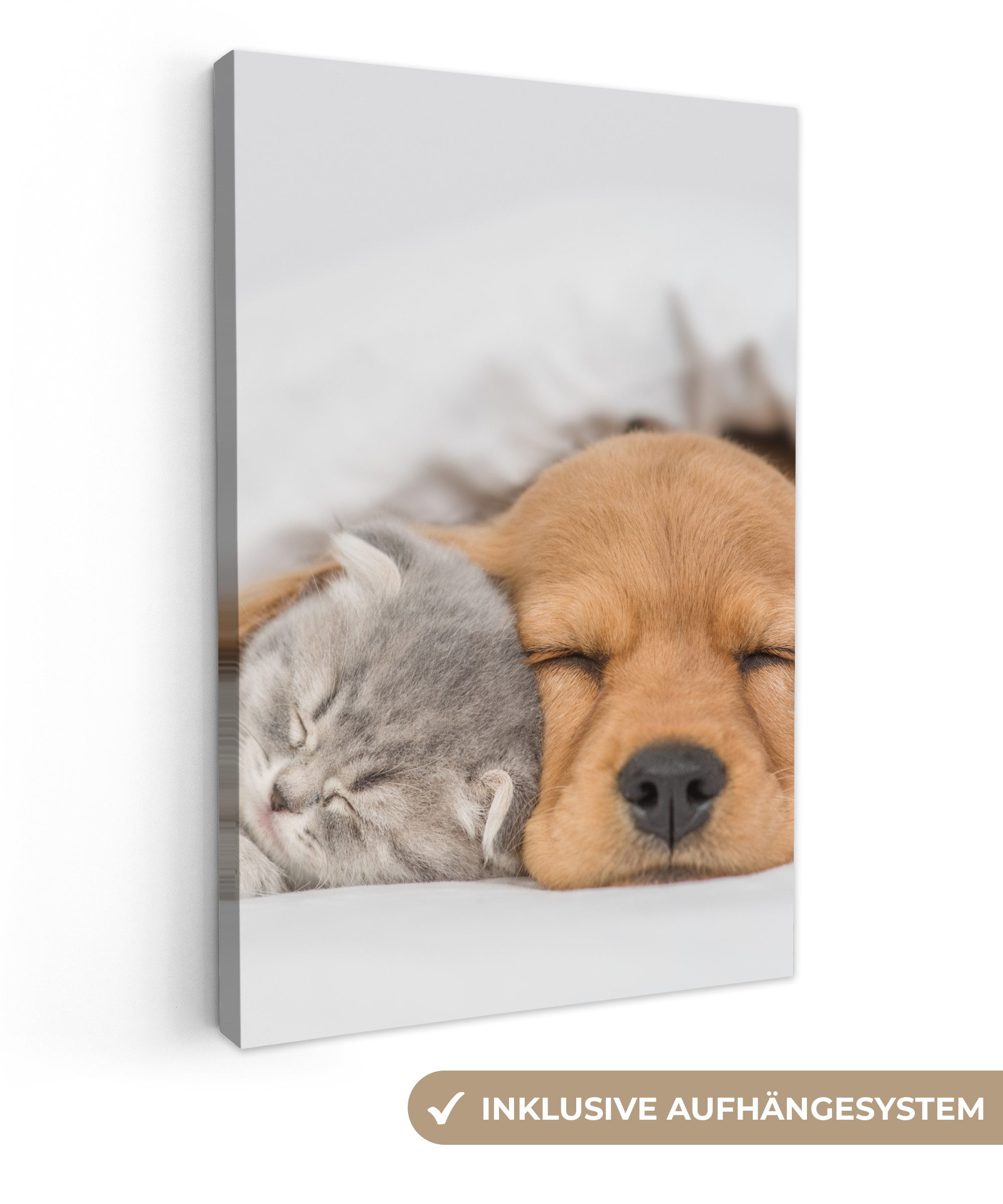 OneMillionCanvasses® Leinwandbild Haustiere - Hund - günstig online kaufen