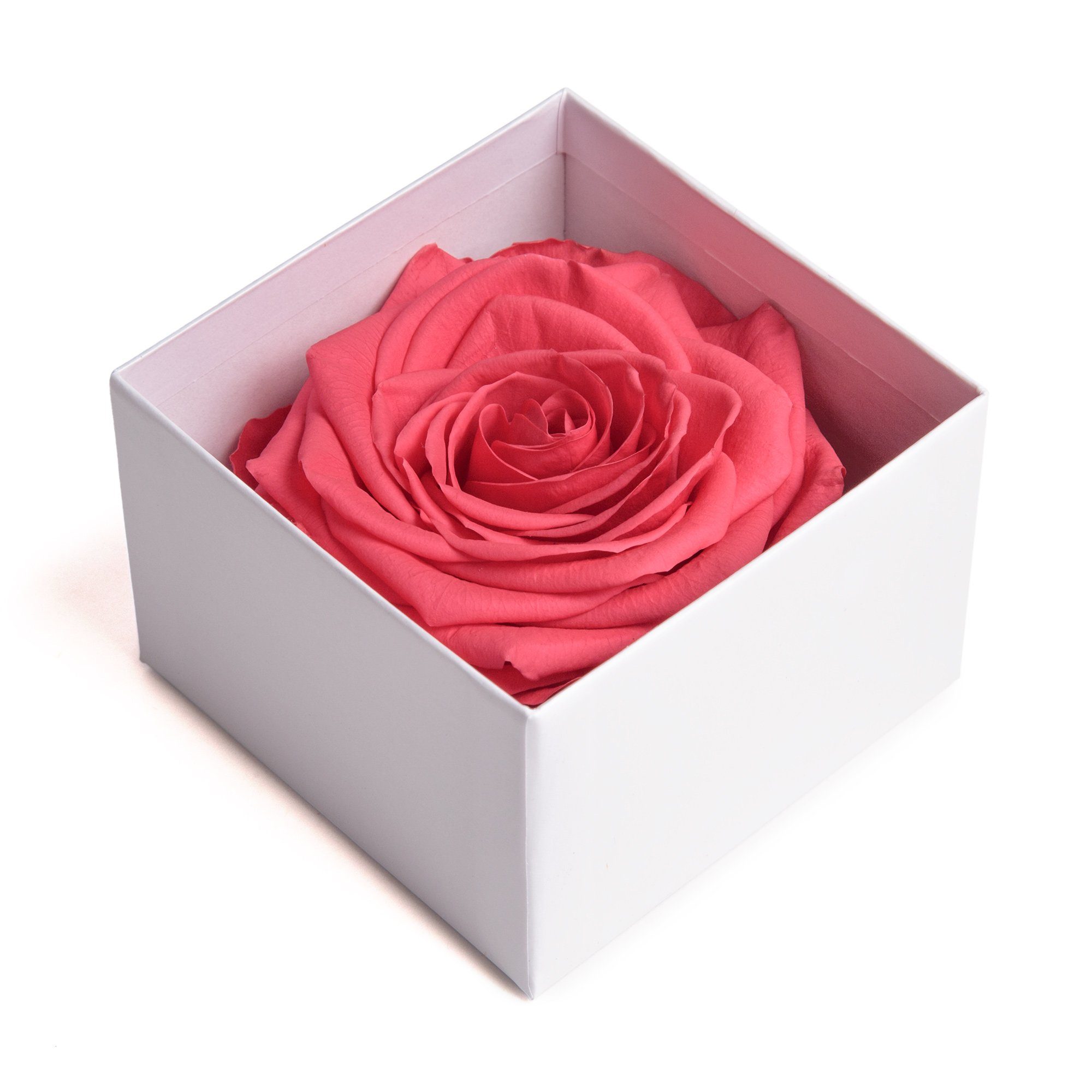 SCHULZ I Höhe Box zu pink Valentinstag Liebesbeweis Rose Infinity 3 in ROSEMARIE cm, LOVE Jahre Heidelberg, 6 weiß Geschenk Kunstblume YOU Frauen Rose bis haltbar Rose,