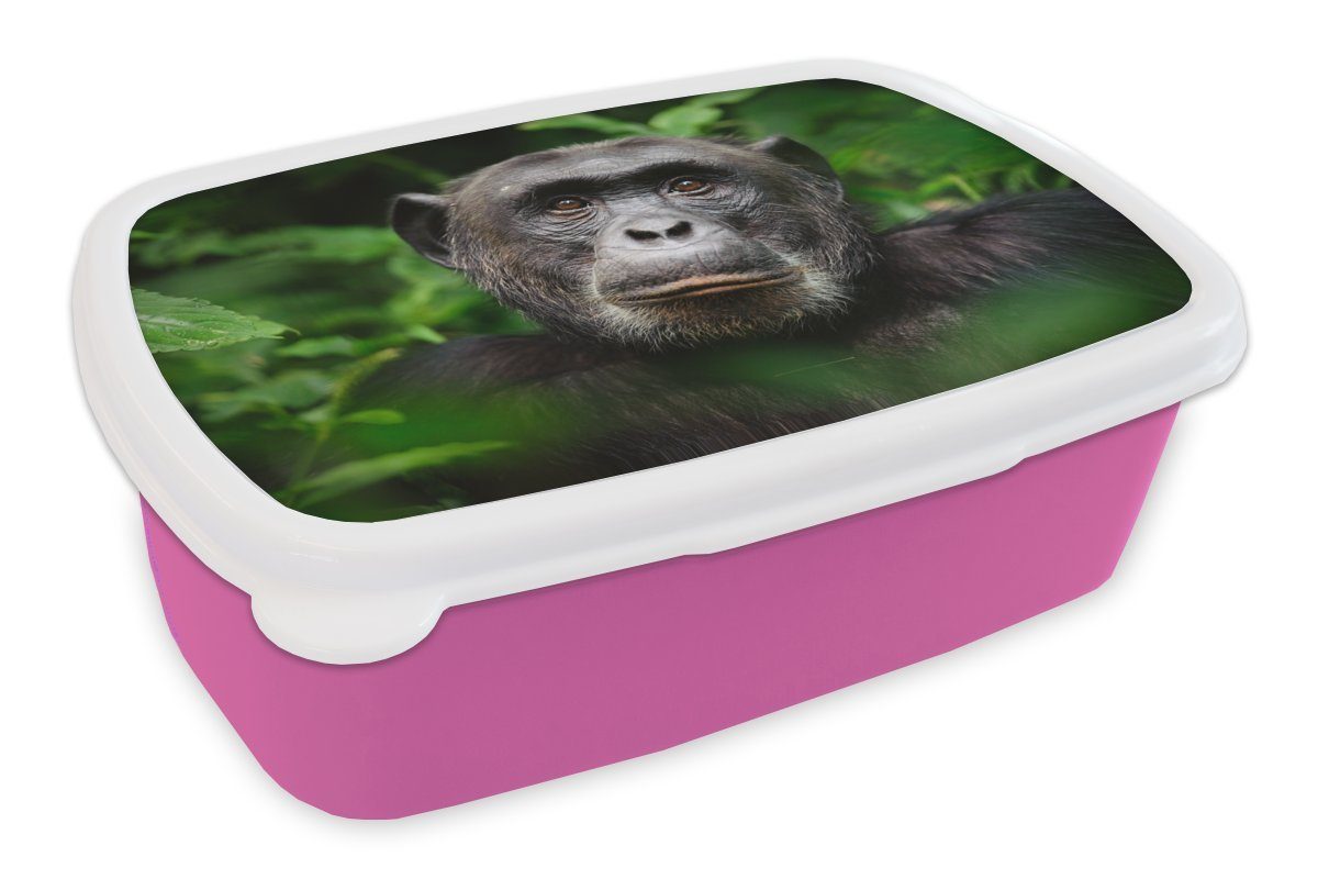 MuchoWow Lunchbox Affe - Blätter - Porträt, Kunststoff, (2-tlg), Brotbox für Erwachsene, Brotdose Kinder, Snackbox, Mädchen, Kunststoff rosa