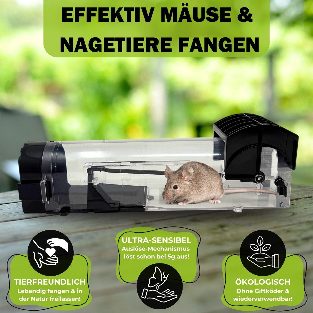 EKNA Lebendfalle Mäusefalle lebend - wiederverwendbare Mäuse Falle, Ökologische Nagetierbekämpfung