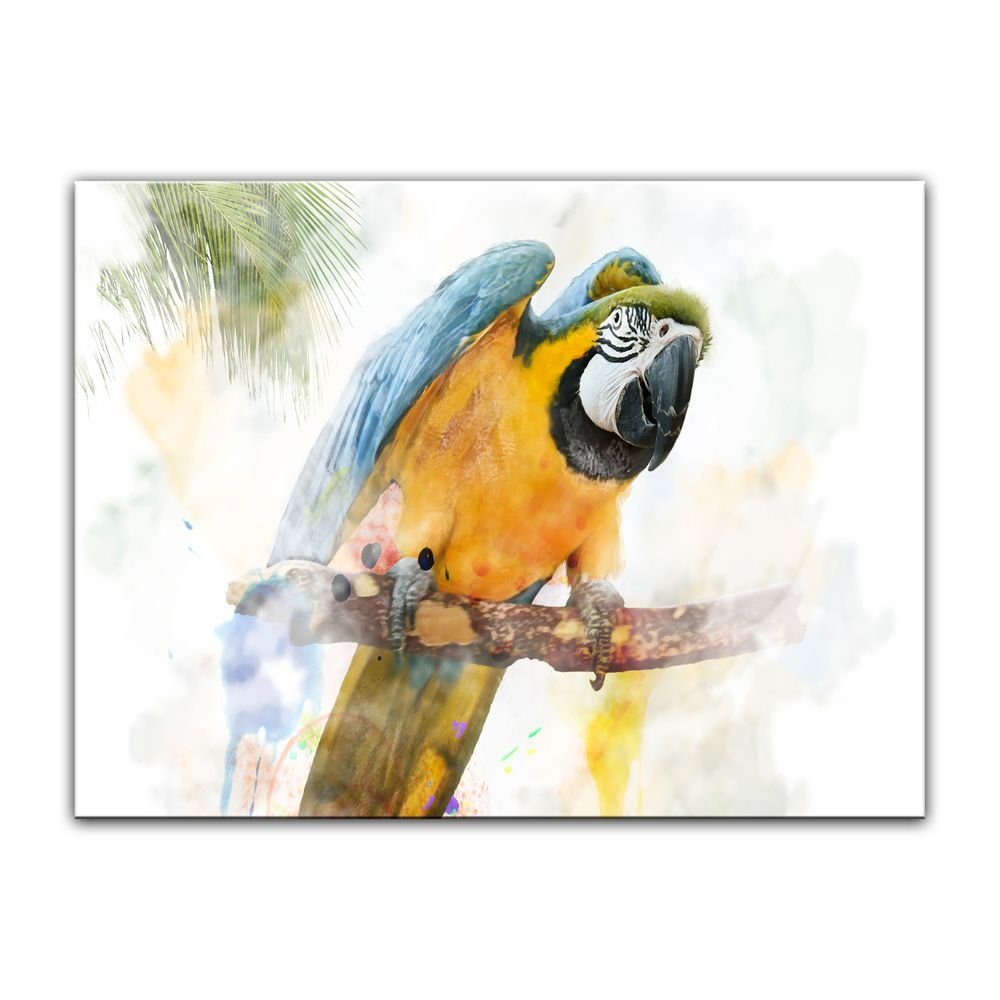 Bilderdepot24 Leinwandbild Aquarell - Papagei, Tiere