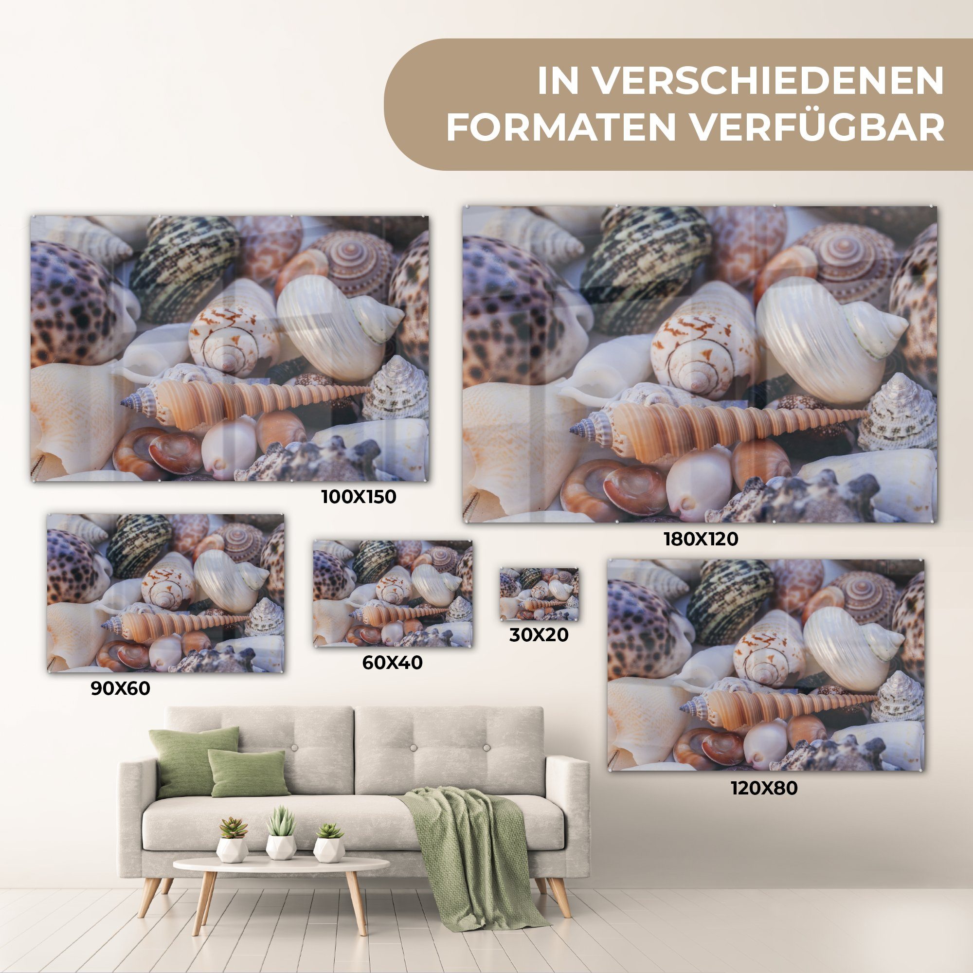 Wohnzimmer Schlafzimmer - Muscheln (1 Nahaufnahme, Strand St), MuchoWow - Acrylglasbilder & Acrylglasbild