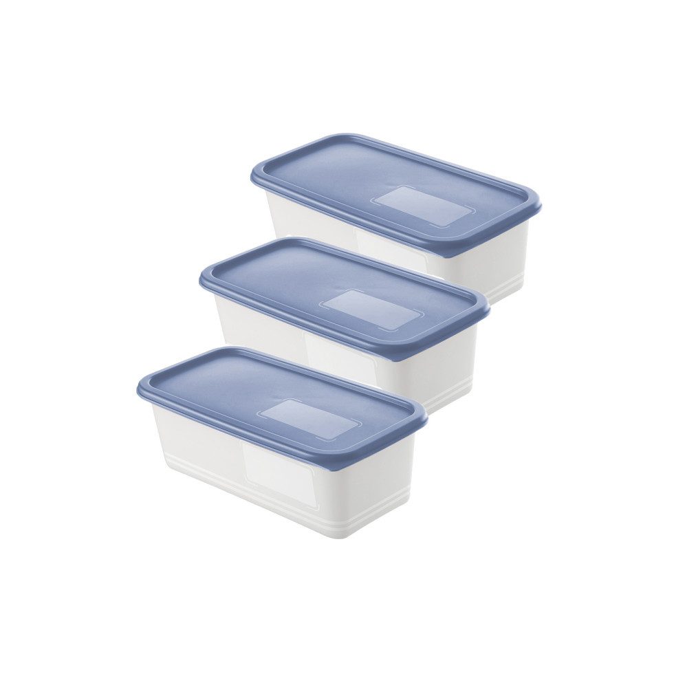 ROTHO Vorratsdose Rotho Gefrierdosen-Set Domino 3 x 1,2 l horizon, Kunststoff – Bild 2 von 3