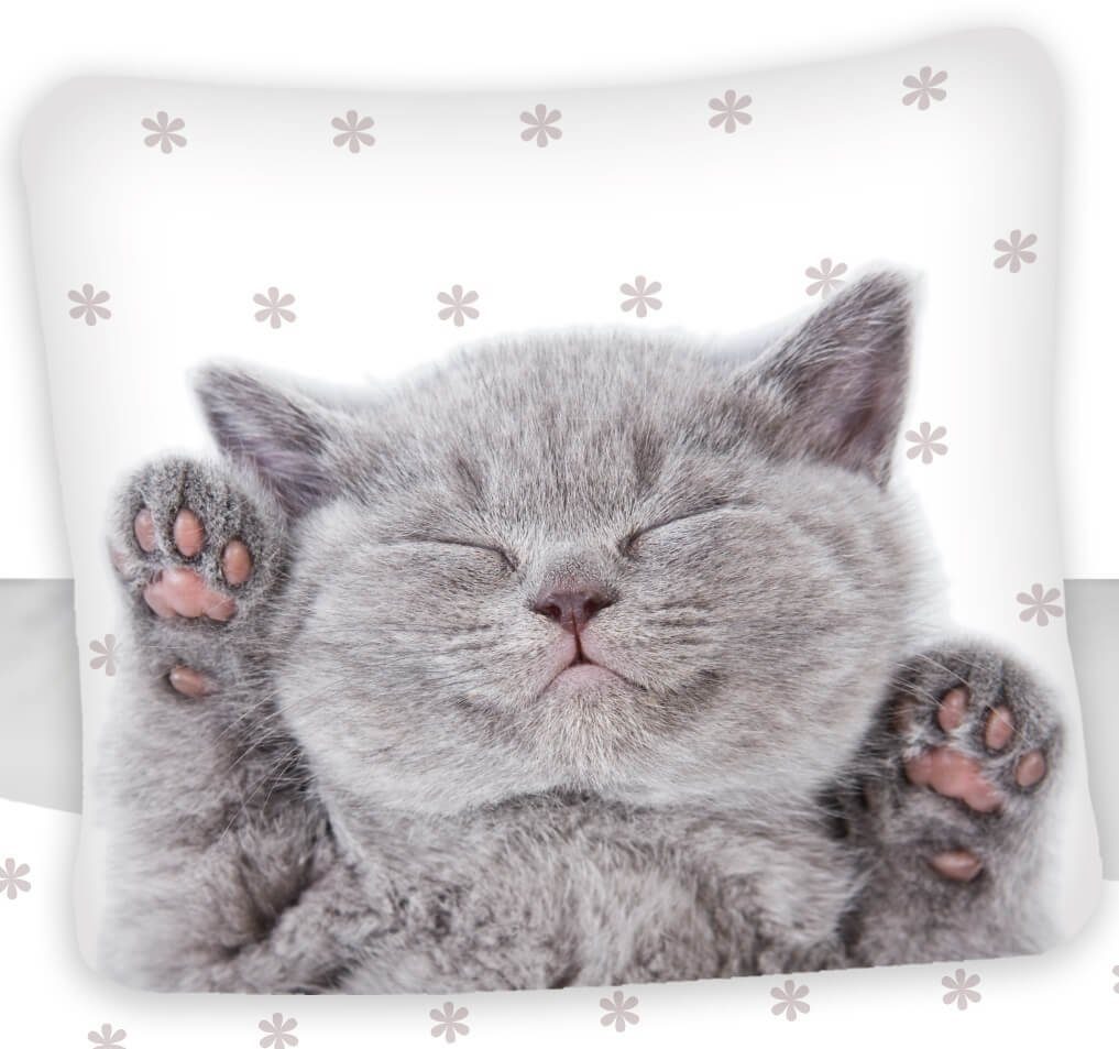 Carbotex Bettwäsche Katze - Bettwäsche-Set mit günstig online kaufen