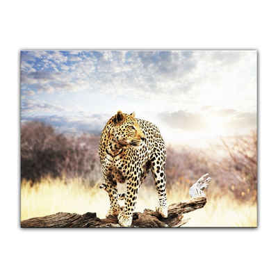 Bilderdepot24 Leinwandbild Leopard, Tiere