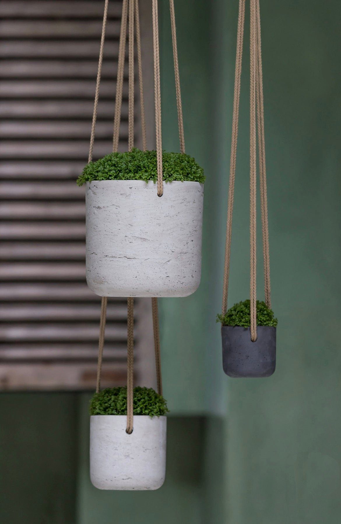 finestgreen Blumenampel Handgefertigte Blumenampel Hanging Charlie günstig online kaufen