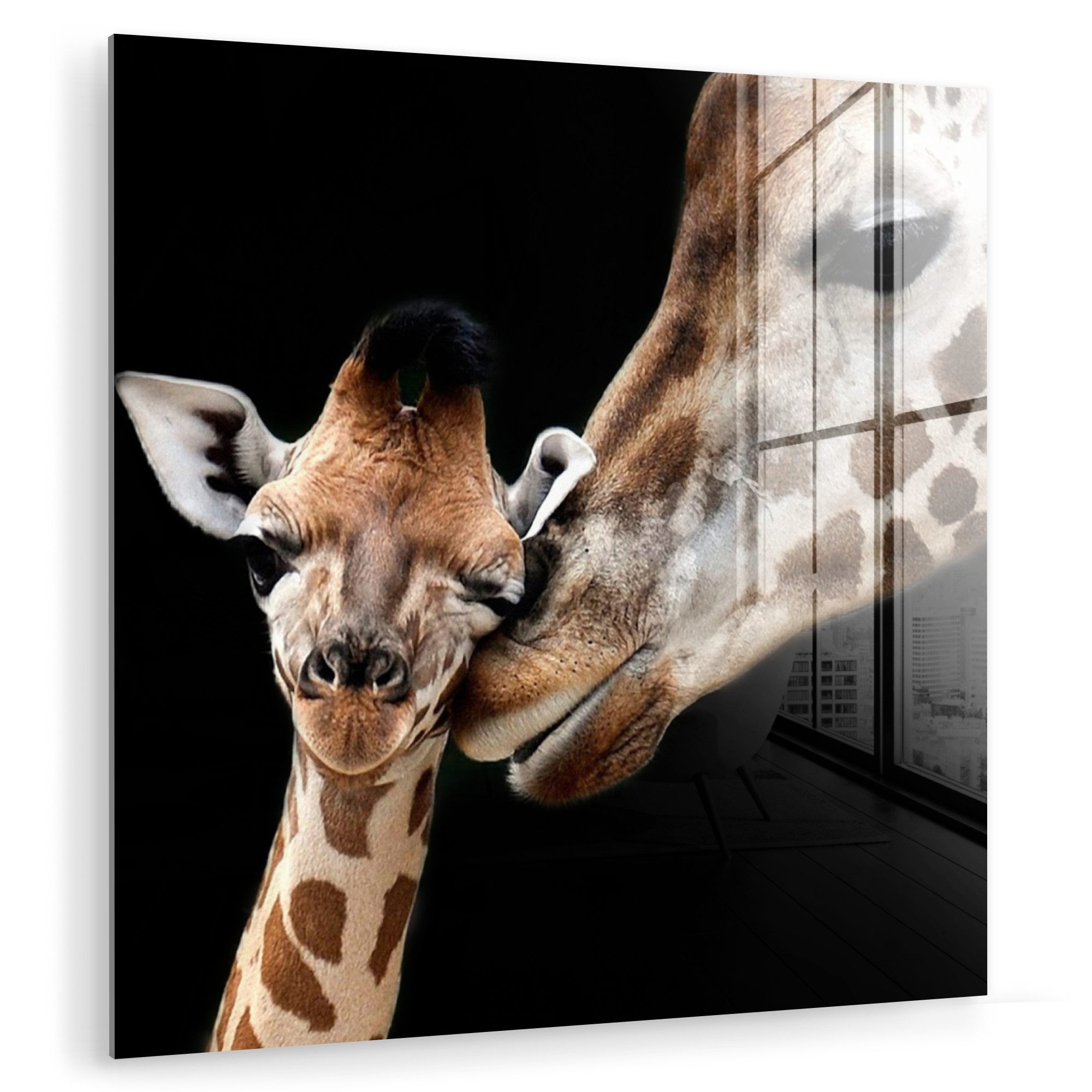 MuchoWow Acrylglasbild Giraffe - Tiere - Schwarz - Porträt - Tiere, Inkl. Aufhängung, Bilder auf Glas Wandbild, Wanddeko Wohnzimmer Badezimmer, 20x20 cm