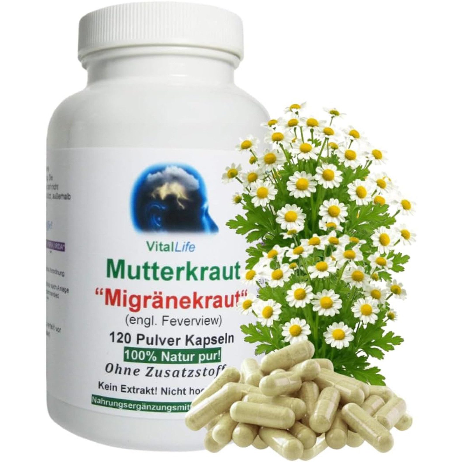 VitalLife Mutterkraut (Feverfew) nach Hildegard von Bingen ohne Zusatzstoffe Kapseln, 1 er Dose à 120 St., 52 g, Art. 26306